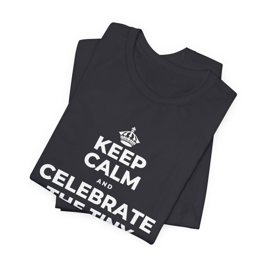 KEEP CALM AND CELEBRATE THE TINY VICTORIES EVERY SINGLE DAY T-Shirt (Baby Blue–Silver)