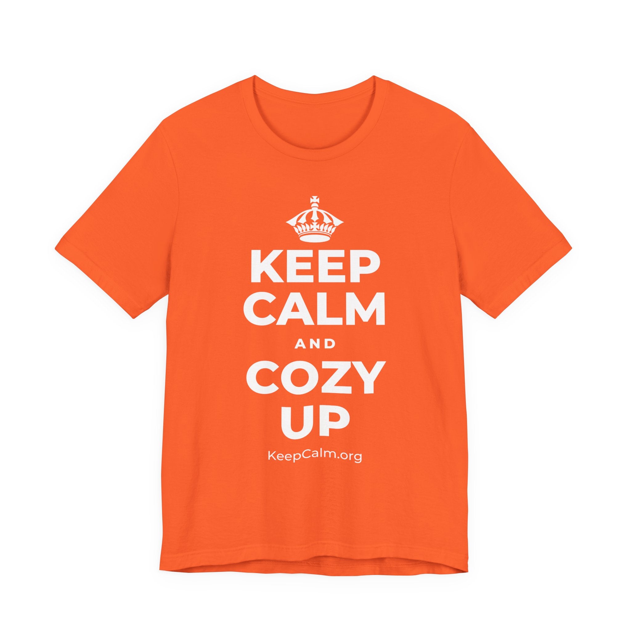 KEEP CALM AND COZY UP T-Shirt (Baby Blue–Silver)
