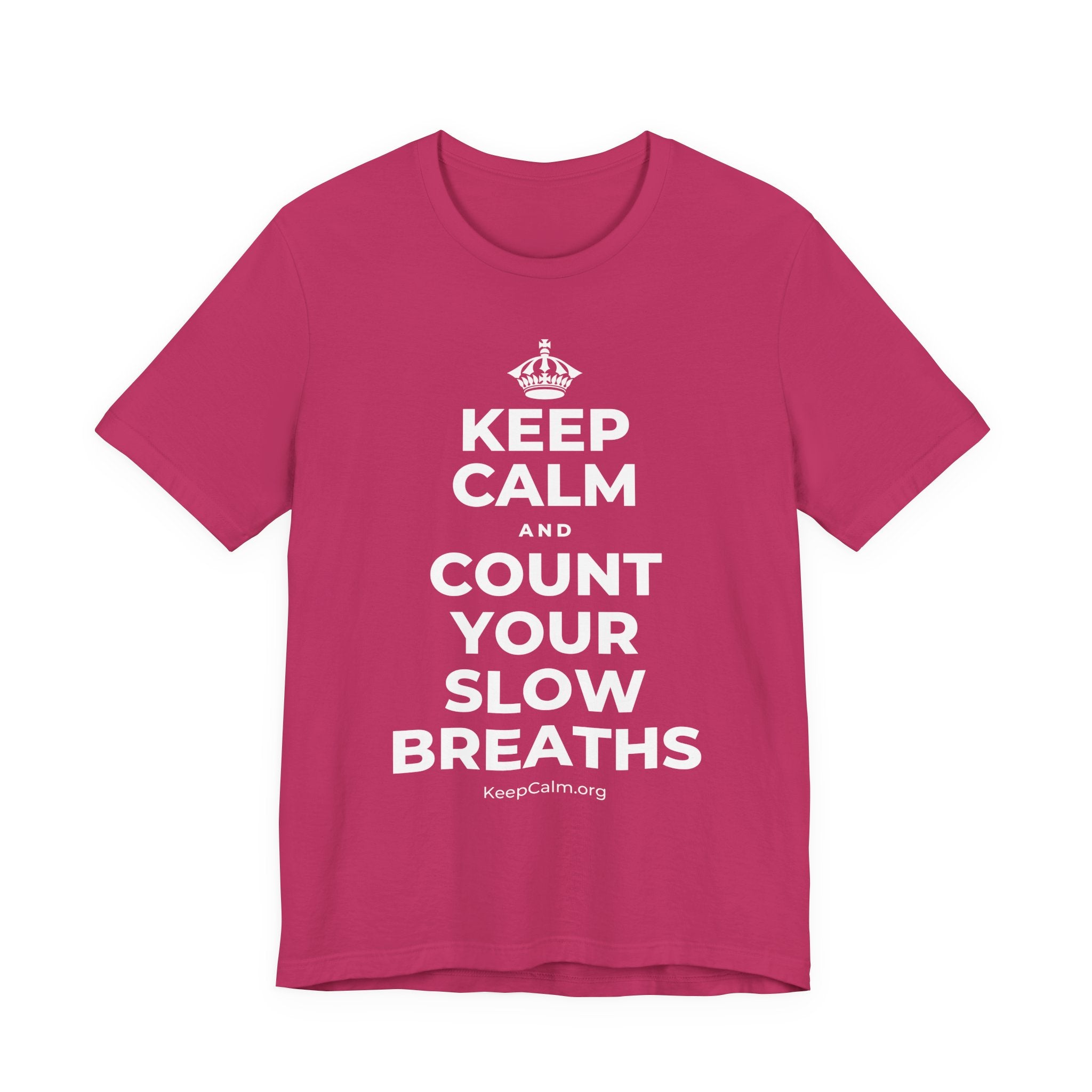 KEEP CALM AND COUNT YOUR SLOW BREATHS T-Shirt (Baby Blue–Silver)