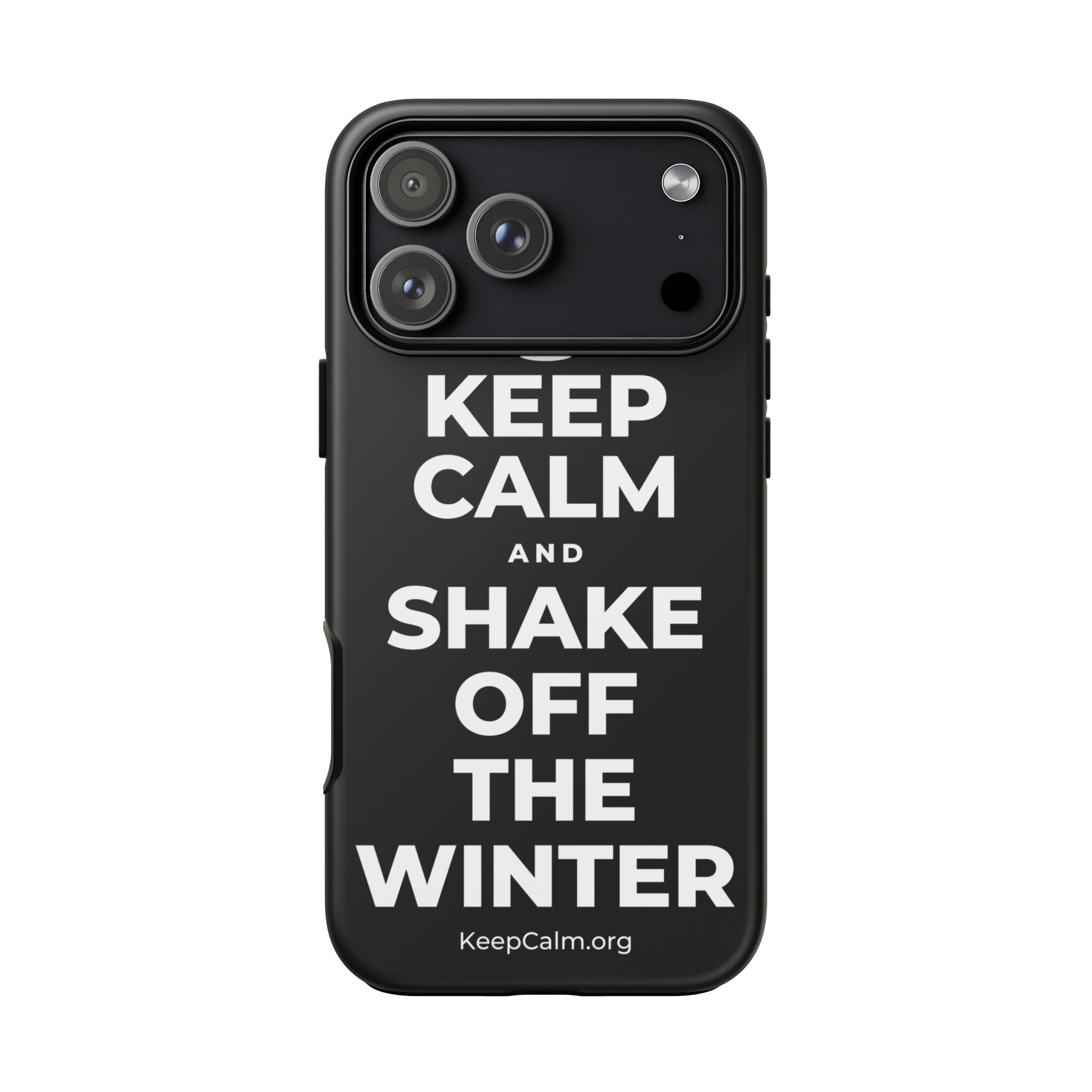 KEEP CALM AND SHAKE OFF THE WINTER Phone Case