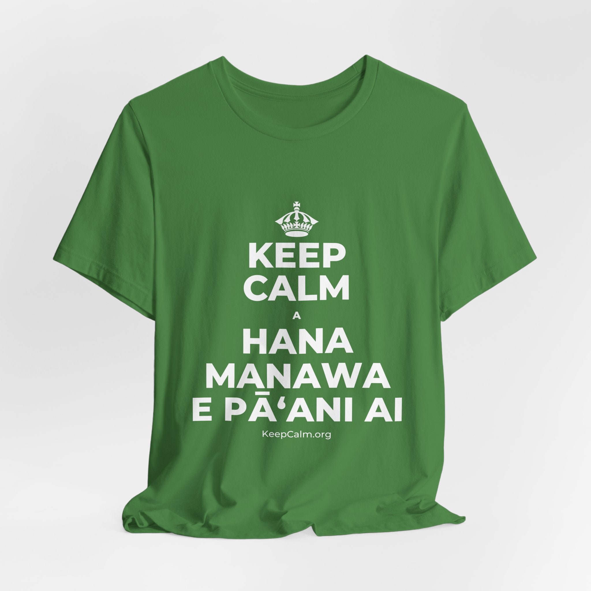 KEEP CALM A HANA MANAWA E PĀʻANI AI T-Shirt (Baby Blue–Silver)