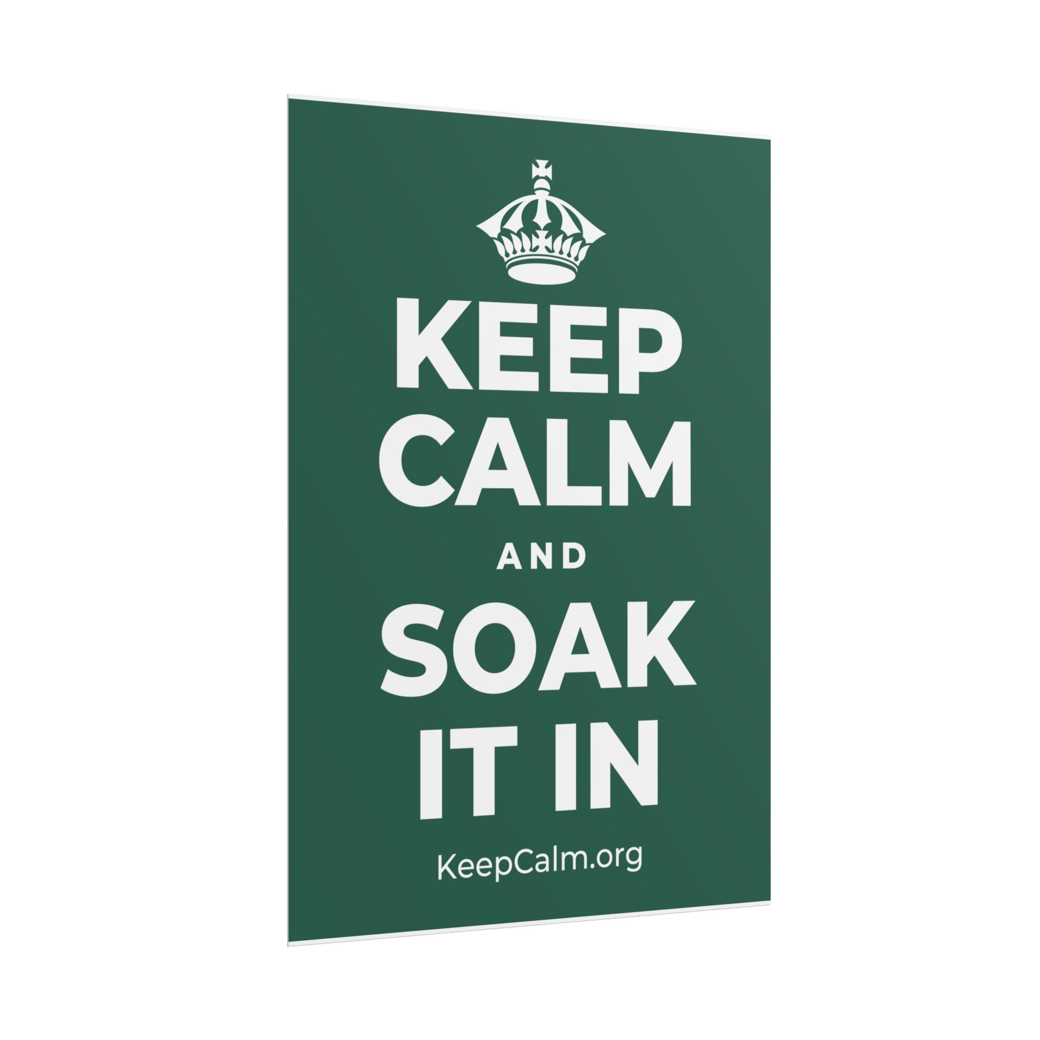 KEEP CALM AND SOAK IT IN Poster