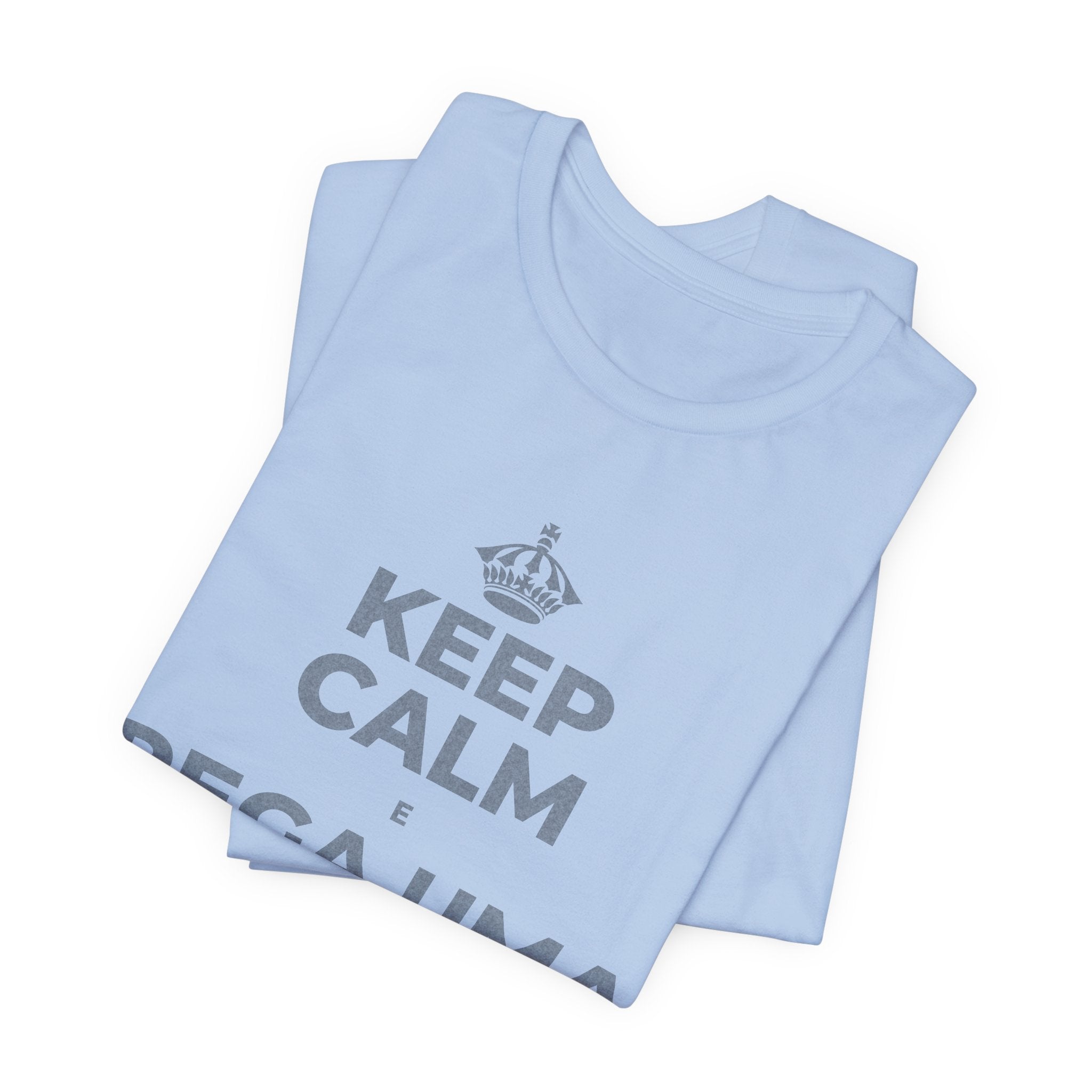 KEEP CALM E PEGA UMA AULA DE CADA VEZ T-Shirt (Baby Blue–Silver)