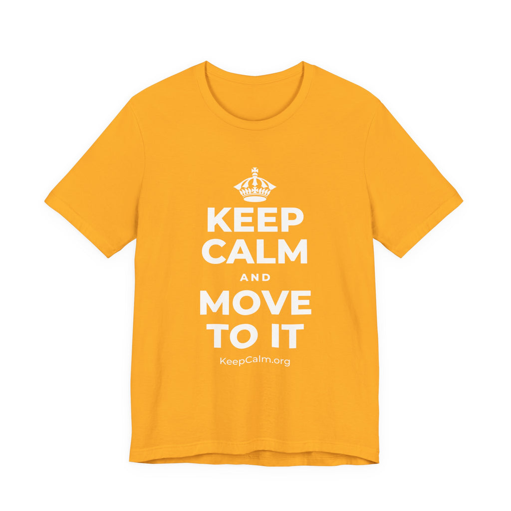 KEEP CALM AND MOVE TO IT T-Shirt (Baby Blue–Silver)