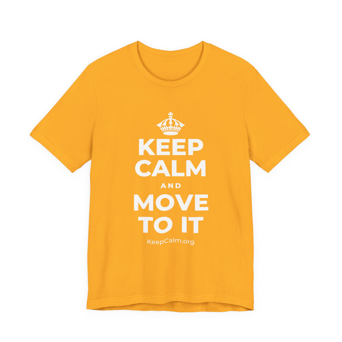 KEEP CALM AND MOVE TO IT T-Shirt (Baby Blue–Silver)