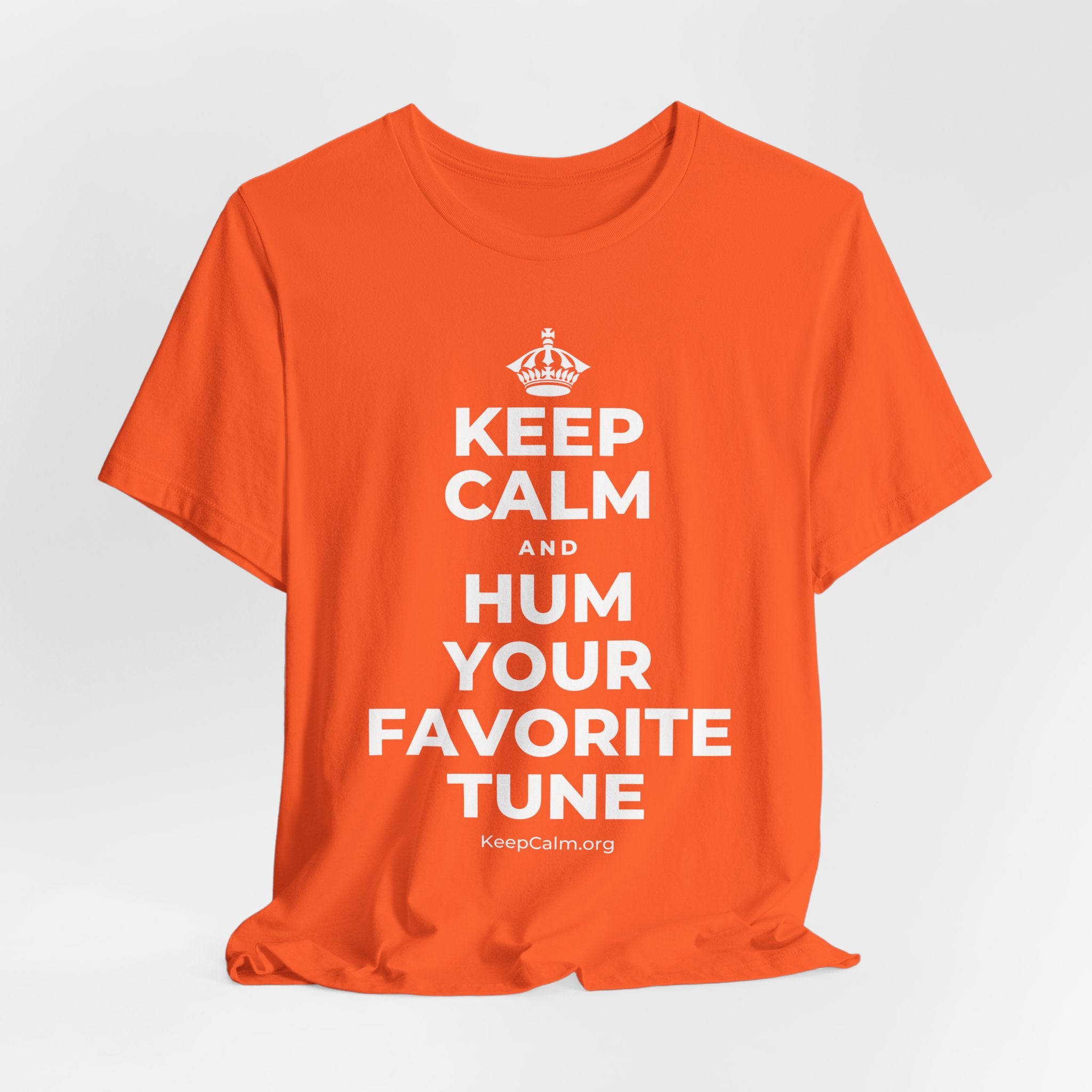 KEEP CALM AND HUM YOUR FAVORITE TUNE T-Shirt (Baby Blue–Silver)