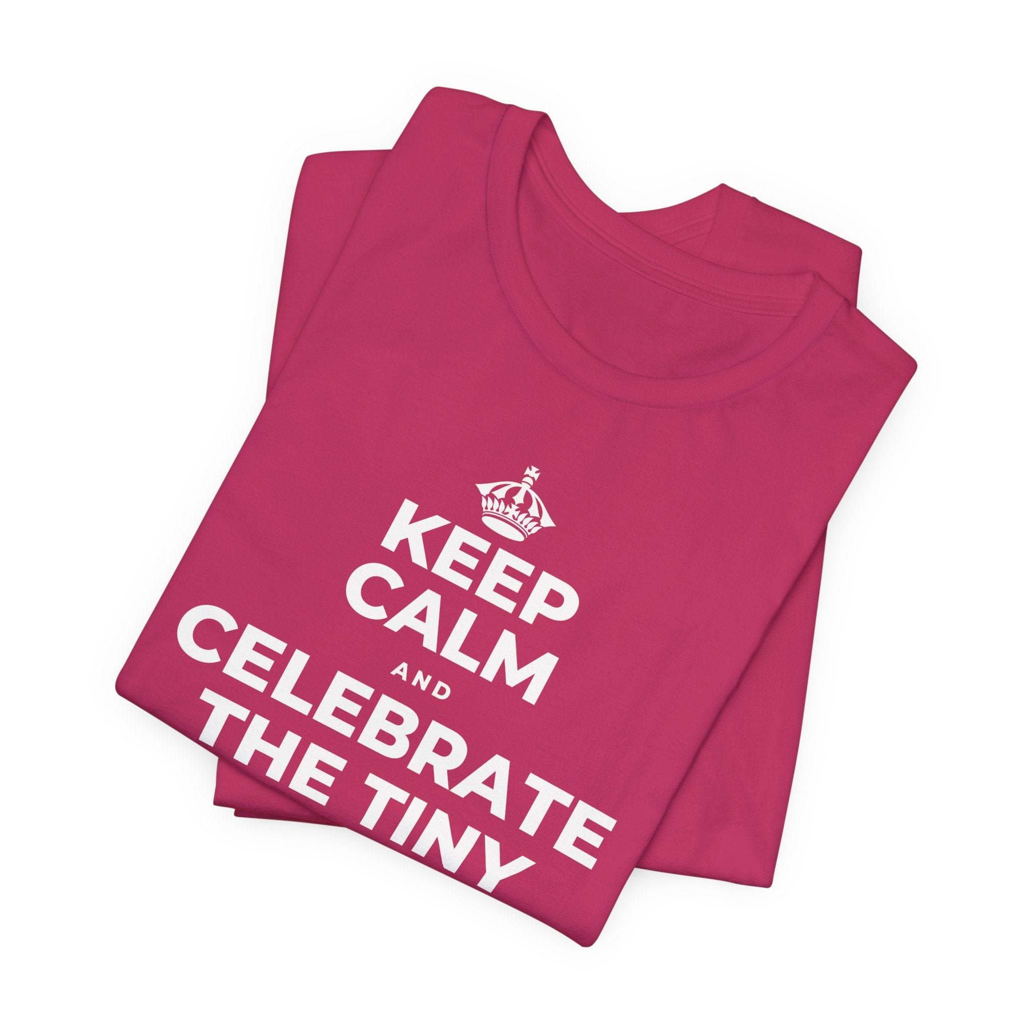 KEEP CALM AND CELEBRATE THE TINY VICTORIES EVERY SINGLE DAY T-Shirt (Baby Blue–Silver)