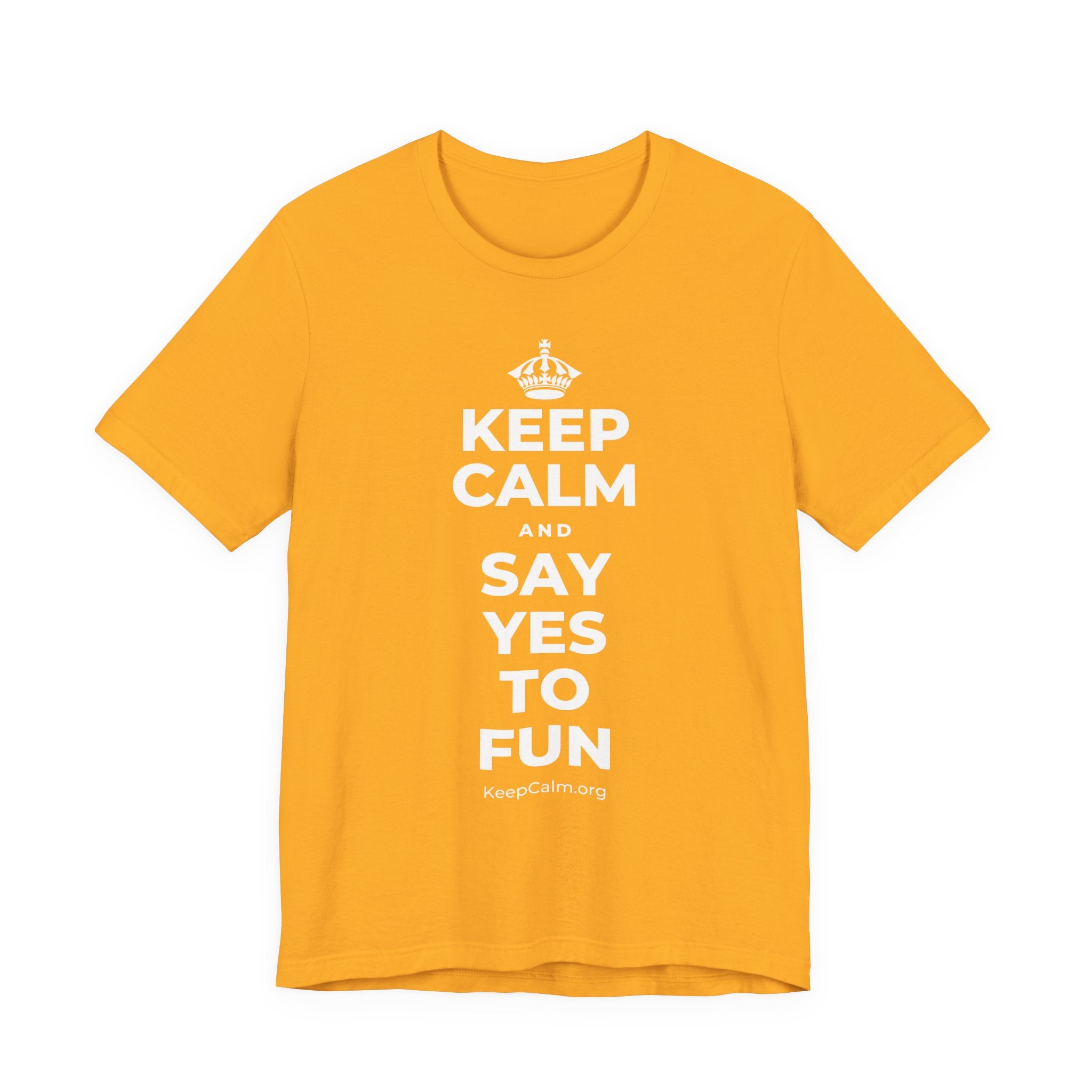 KEEP CALM AND SAY YES TO FUN T-Shirt (Baby Blue–Silver)
