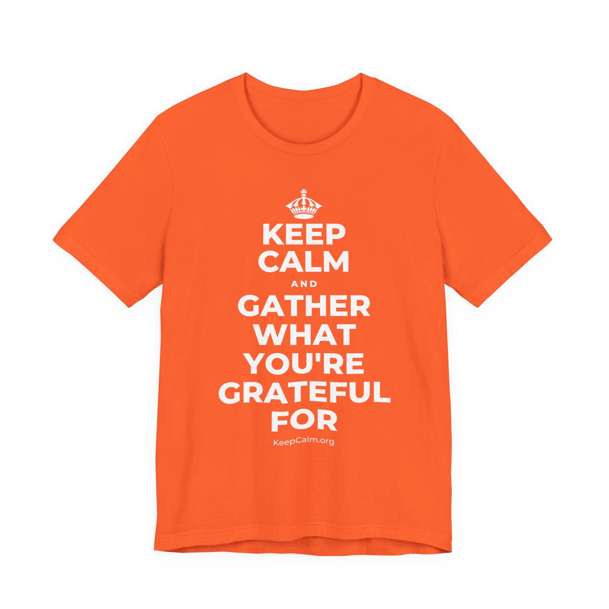 KEEP CALM AND GATHER WHAT YOU'RE GRATEFUL FOR T-Shirt (Baby Blue–Silver)