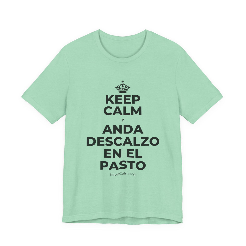 KEEP CALM Y ANDA DESCALZO EN EL PASTO T-Shirt (Baby Blue–Silver)