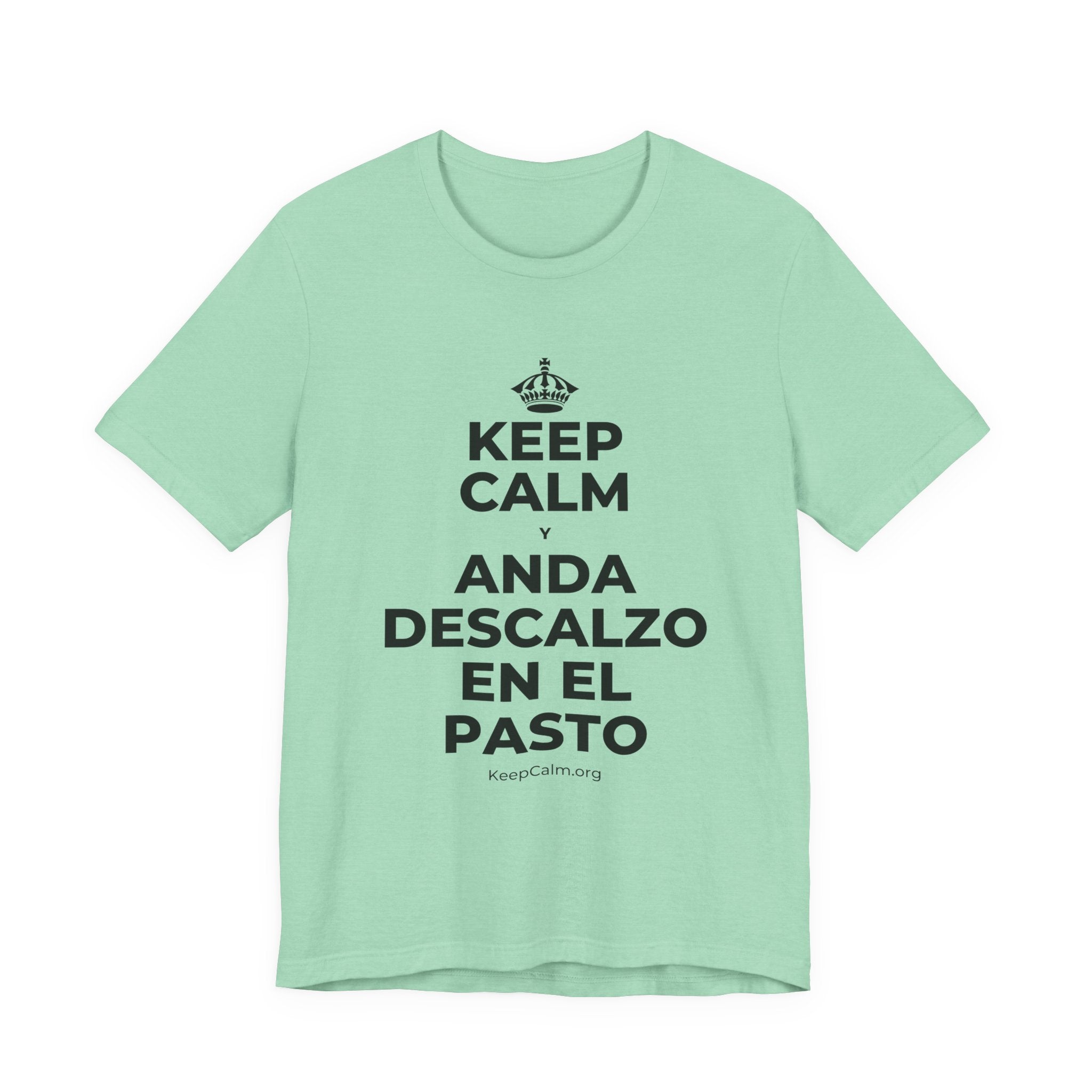 KEEP CALM Y ANDA DESCALZO EN EL PASTO T-Shirt (Baby Blue–Silver)