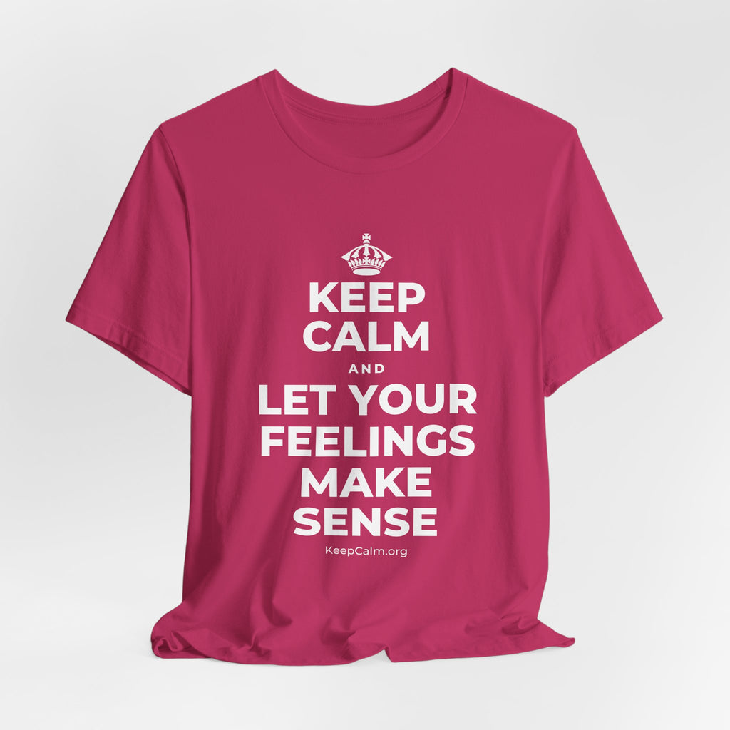 KEEP CALM AND LET YOUR FEELINGS MAKE SENSE T-Shirt (Baby Blue–Silver)
