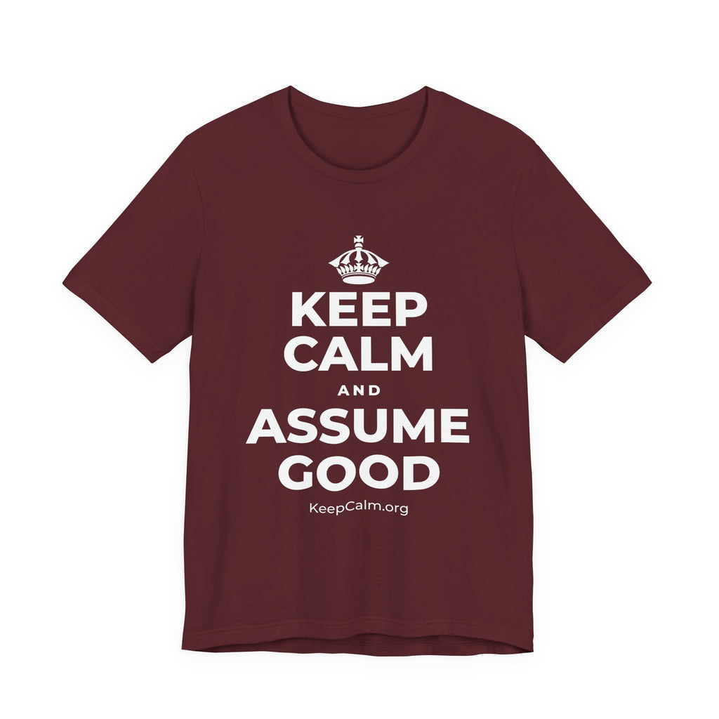 KEEP CALM AND ASSUME GOOD T-Shirt (Baby Blue–Silver)