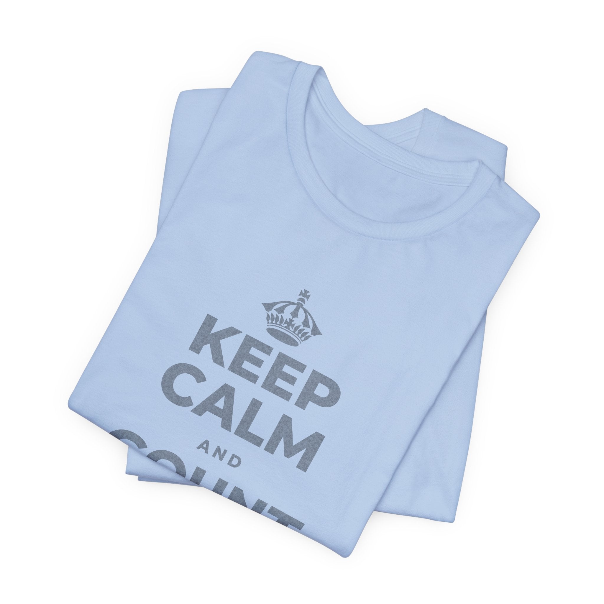 KEEP CALM AND COUNT WHAT YOU HAVE T-Shirt (Baby Blue–Silver)
