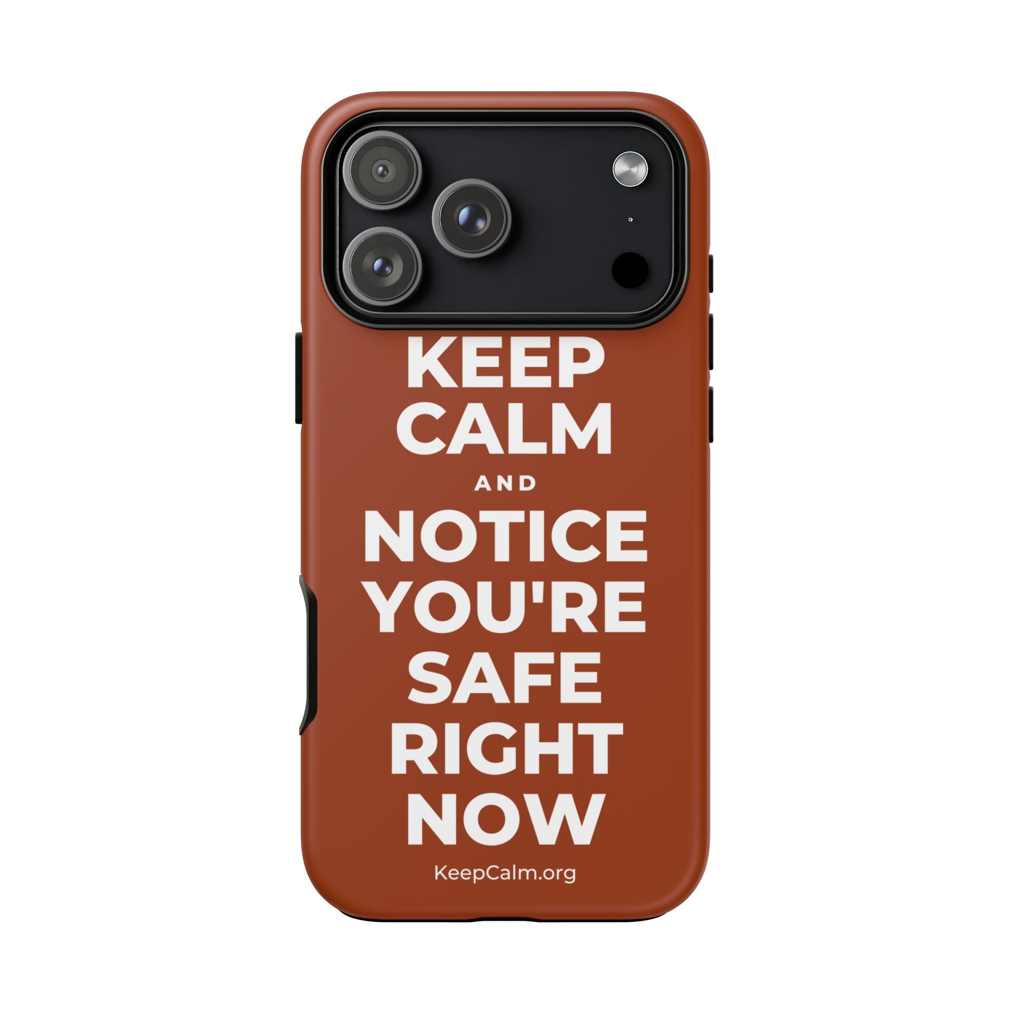 KEEP CALM AND NOTICE YOU'RE SAFE RIGHT NOW Phone Case