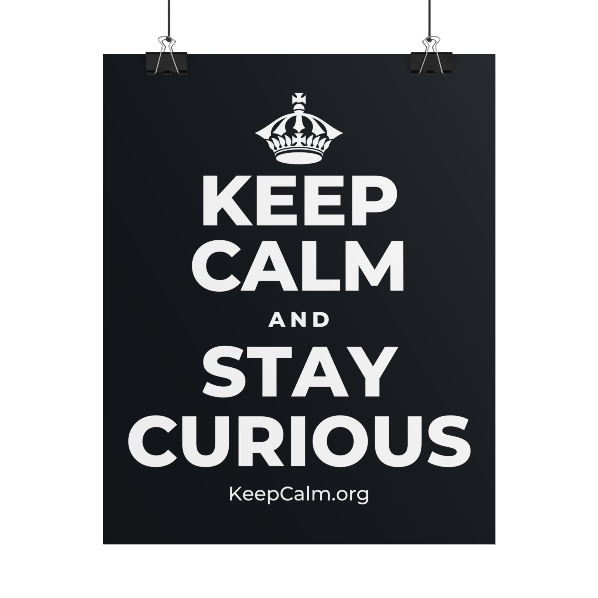 KEEP CALM AND STAY CURIOUS Poster (Dark)