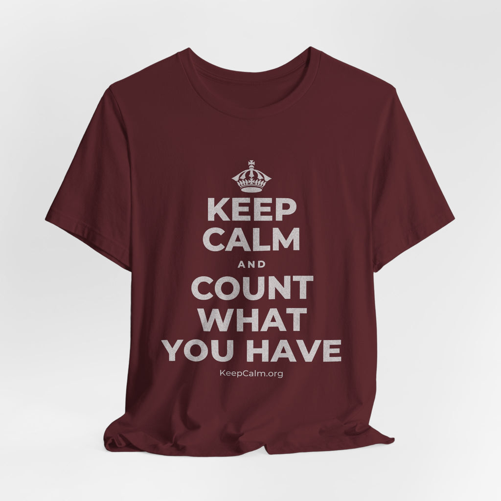 KEEP CALM AND COUNT WHAT YOU HAVE T-Shirt (Baby Blue–Silver)