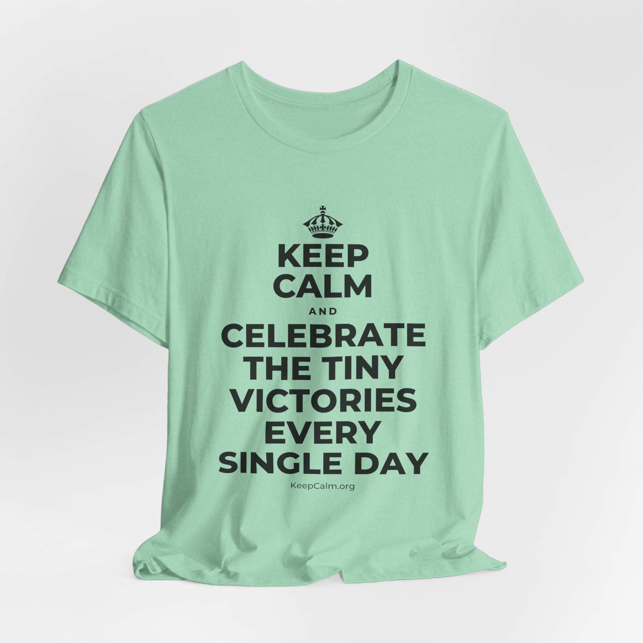 KEEP CALM AND CELEBRATE THE TINY VICTORIES EVERY SINGLE DAY T-Shirt (Baby Blue–Silver)