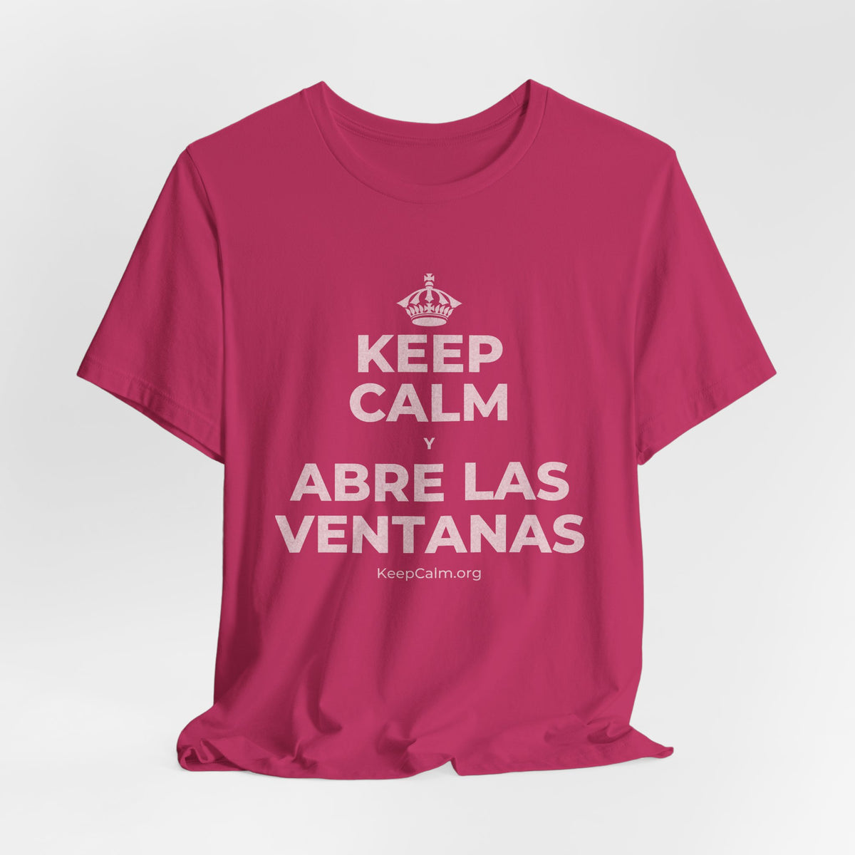 KEEP CALM Y ABRE LAS VENTANAS T-Shirt (Baby Blue–Silver)