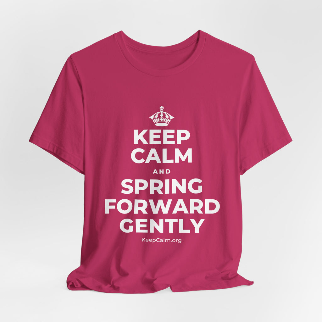 KEEP CALM AND SPRING FORWARD GENTLY T-Shirt (Baby Blue–Silver)