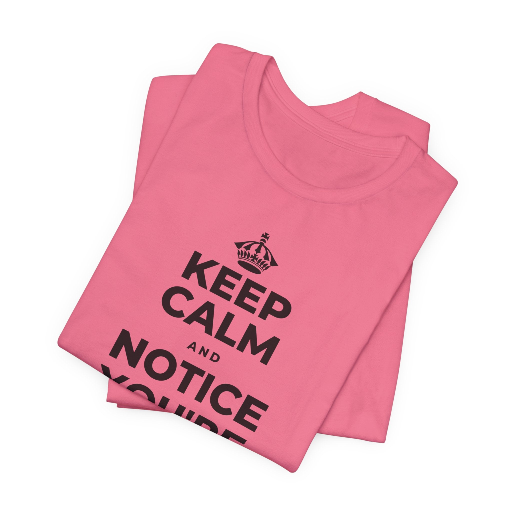 KEEP CALM AND NOTICE YOU'RE SAFE RIGHT NOW T-Shirt (Military Green–Autumn)