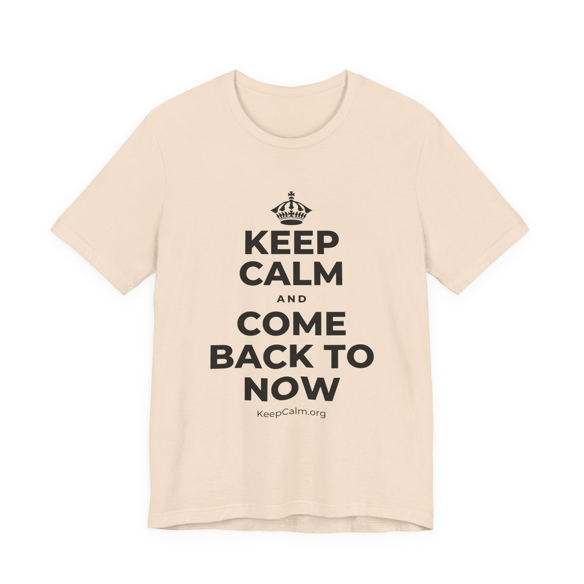 KEEP CALM AND COME BACK TO NOW T-Shirt (Soft Cream–Heather Mauve)