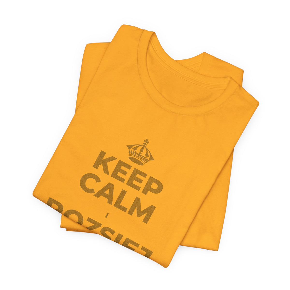 KEEP CALM I ROZSIEJ ODROBINĘ MIŁOŚCI T-Shirt (Baby Blue–Silver)