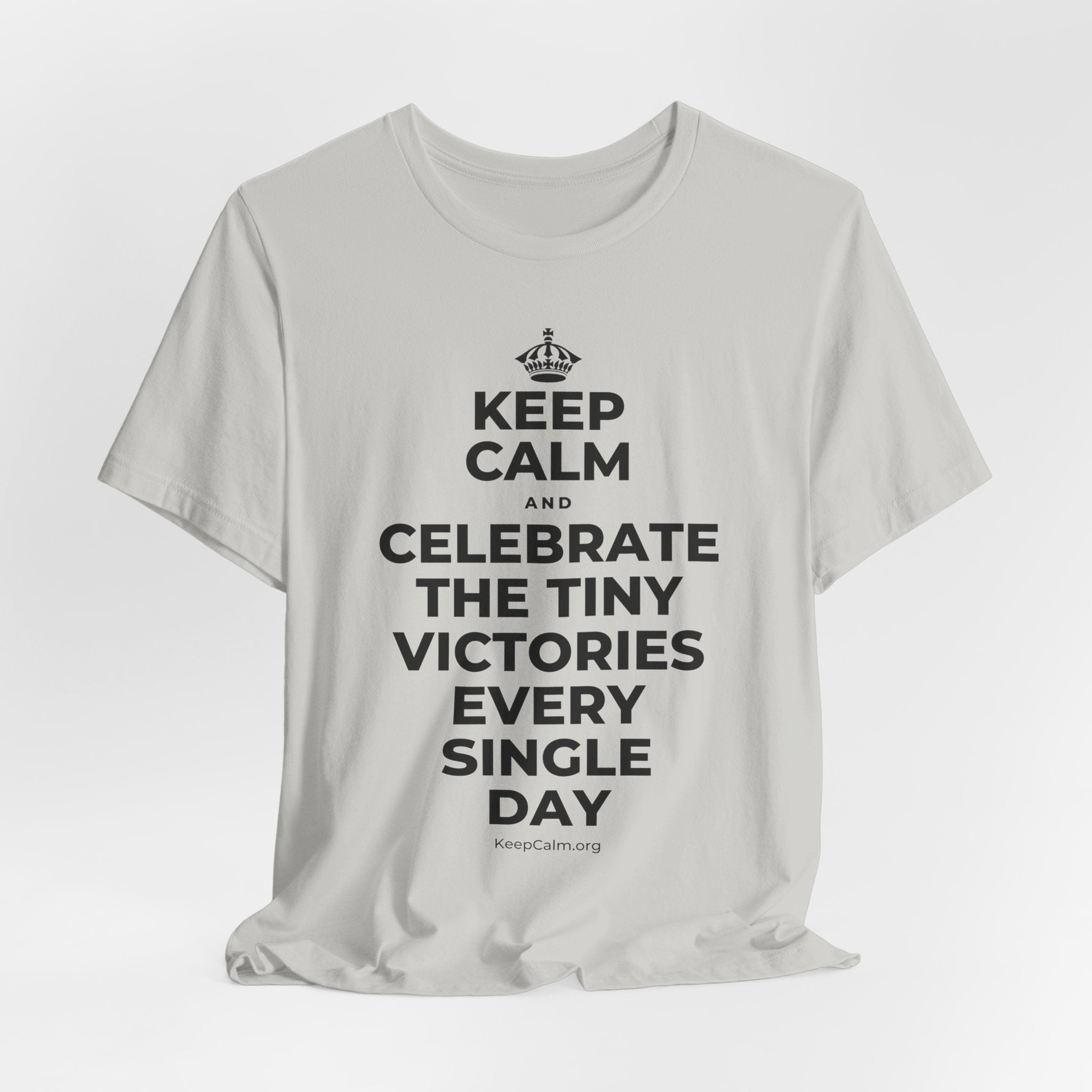 KEEP CALM AND CELEBRATE THE TINY VICTORIES EVERY SINGLE DAY T-Shirt (Baby Blue–Silver)