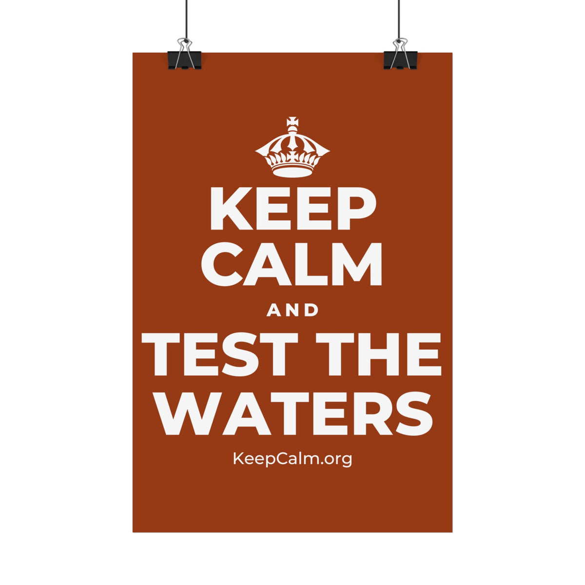 KEEP CALM AND TEST THE WATERS Satin Poster