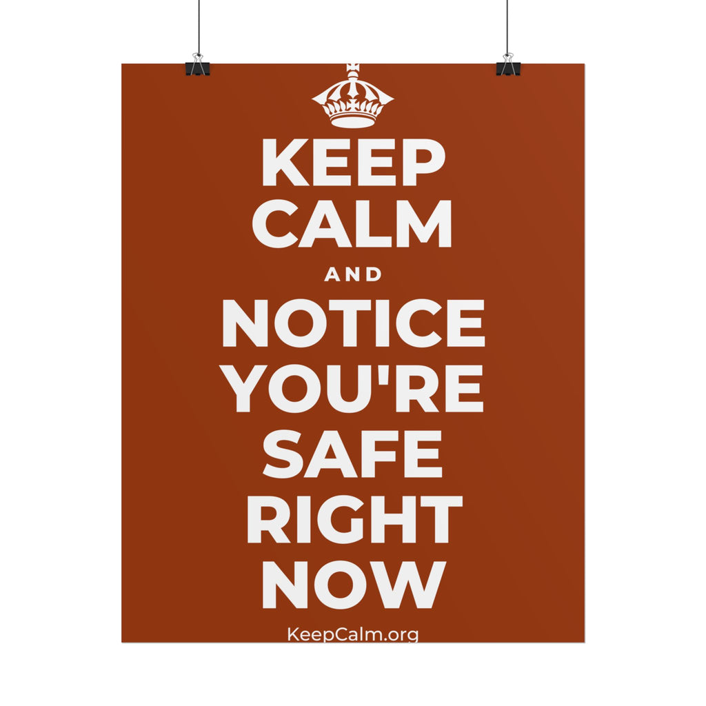 KEEP CALM AND NOTICE YOU'RE SAFE RIGHT NOW Poster