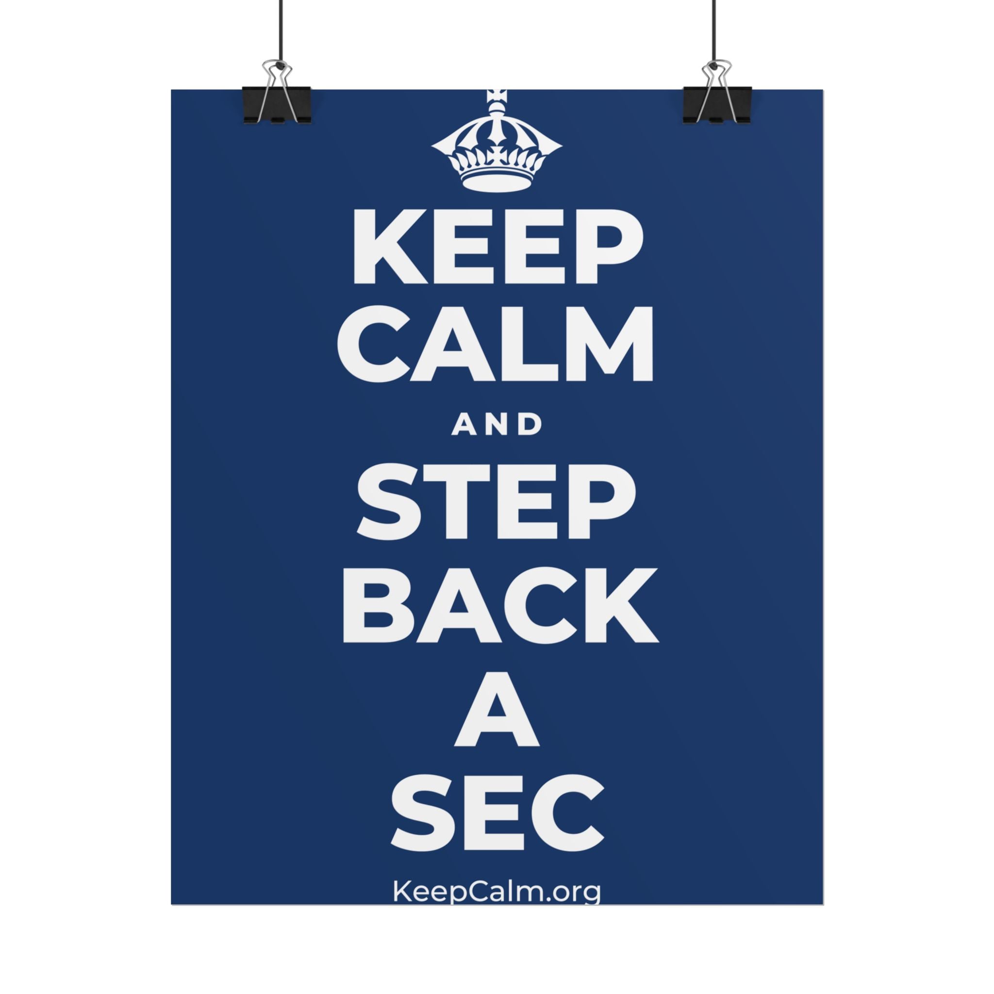 KEEP CALM AND STEP BACK A SEC Poster