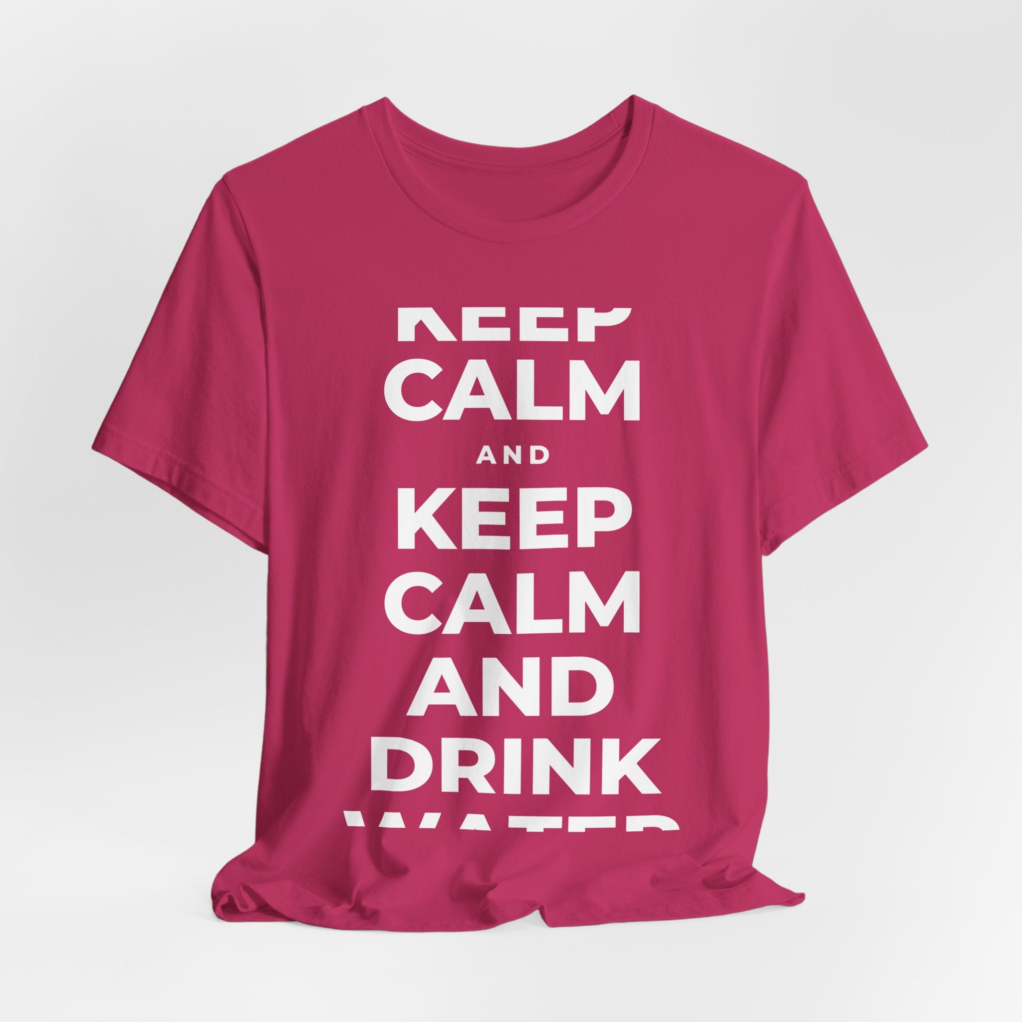 KEEP CALM AND DRINK WATER T-Shirt (Baby Blue–Silver)
