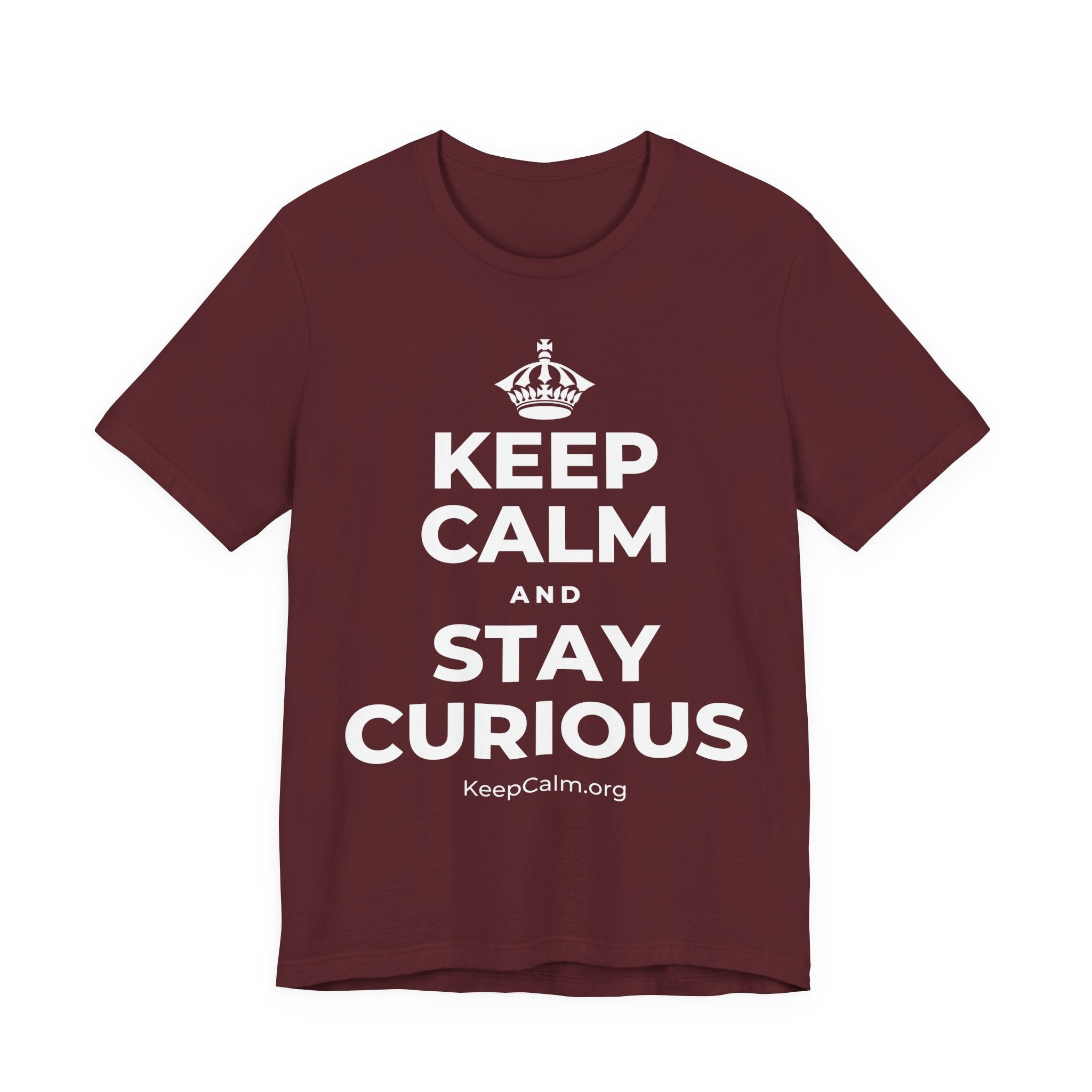 KEEP CALM AND STAY CURIOUS T-Shirt (Baby Blue–Silver)