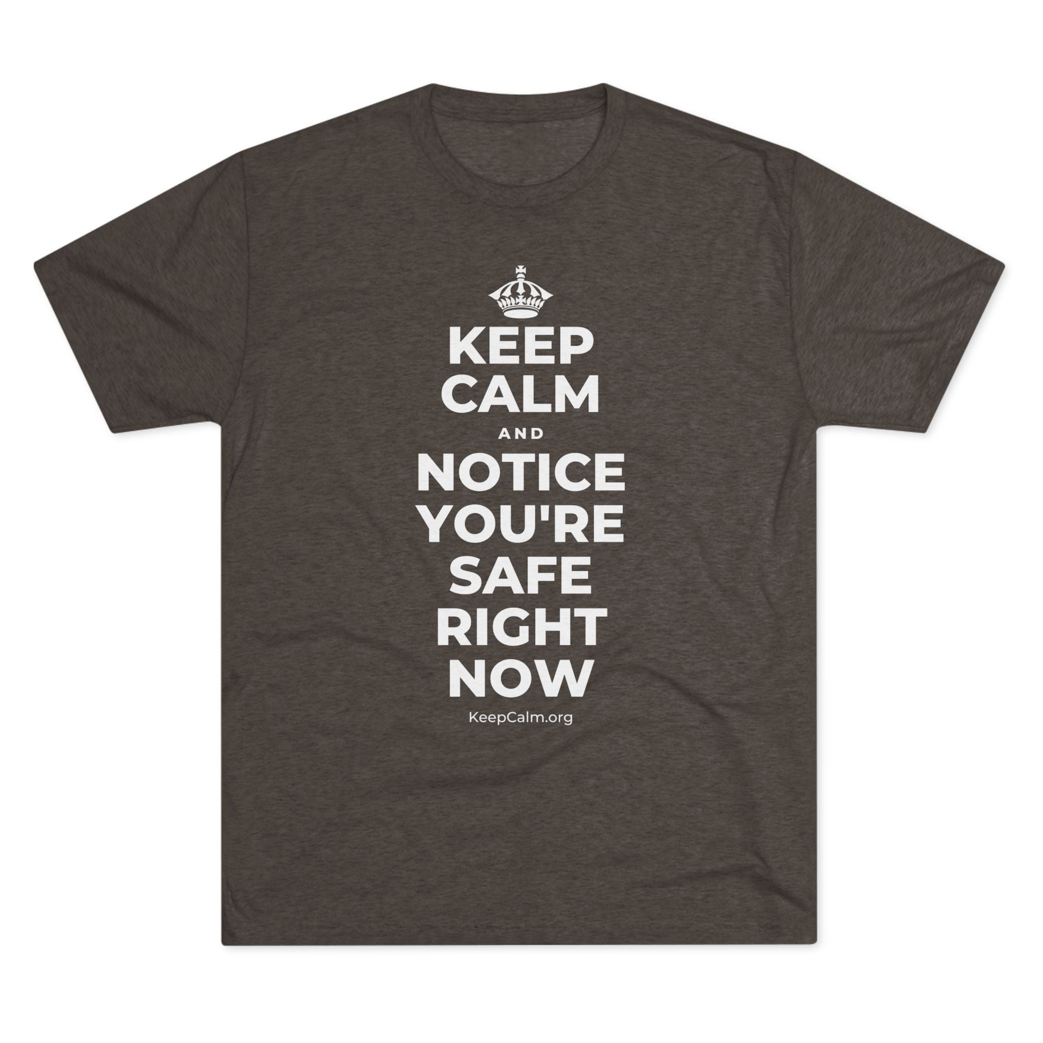 KEEP CALM AND NOTICE YOU'RE SAFE RIGHT NOW Tri-Blend Tee