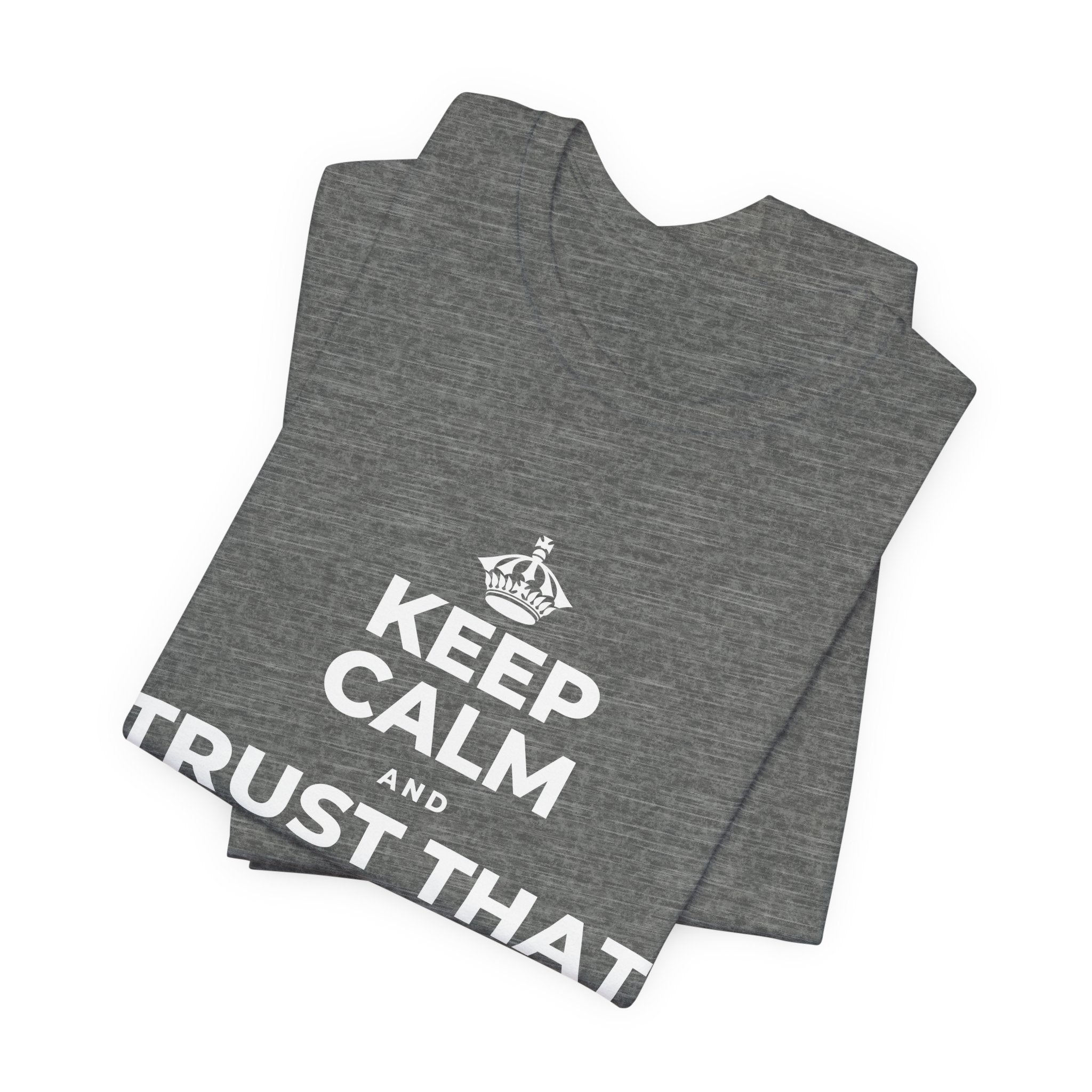 KEEP CALM AND TRUST THAT YOU'RE DOING YOUR BEST T-Shirt (Baby Blue–Silver)