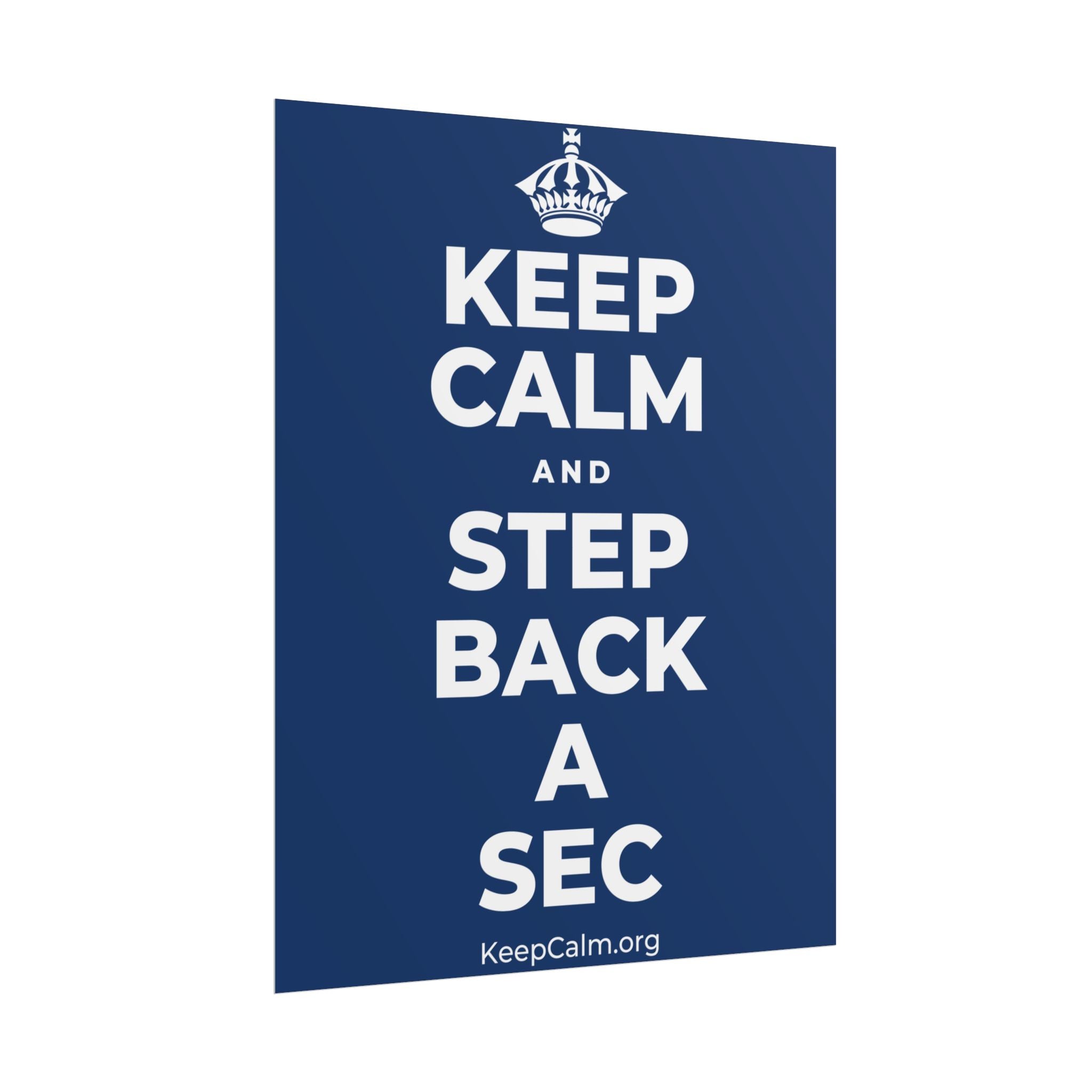 KEEP CALM AND STEP BACK A SEC Poster