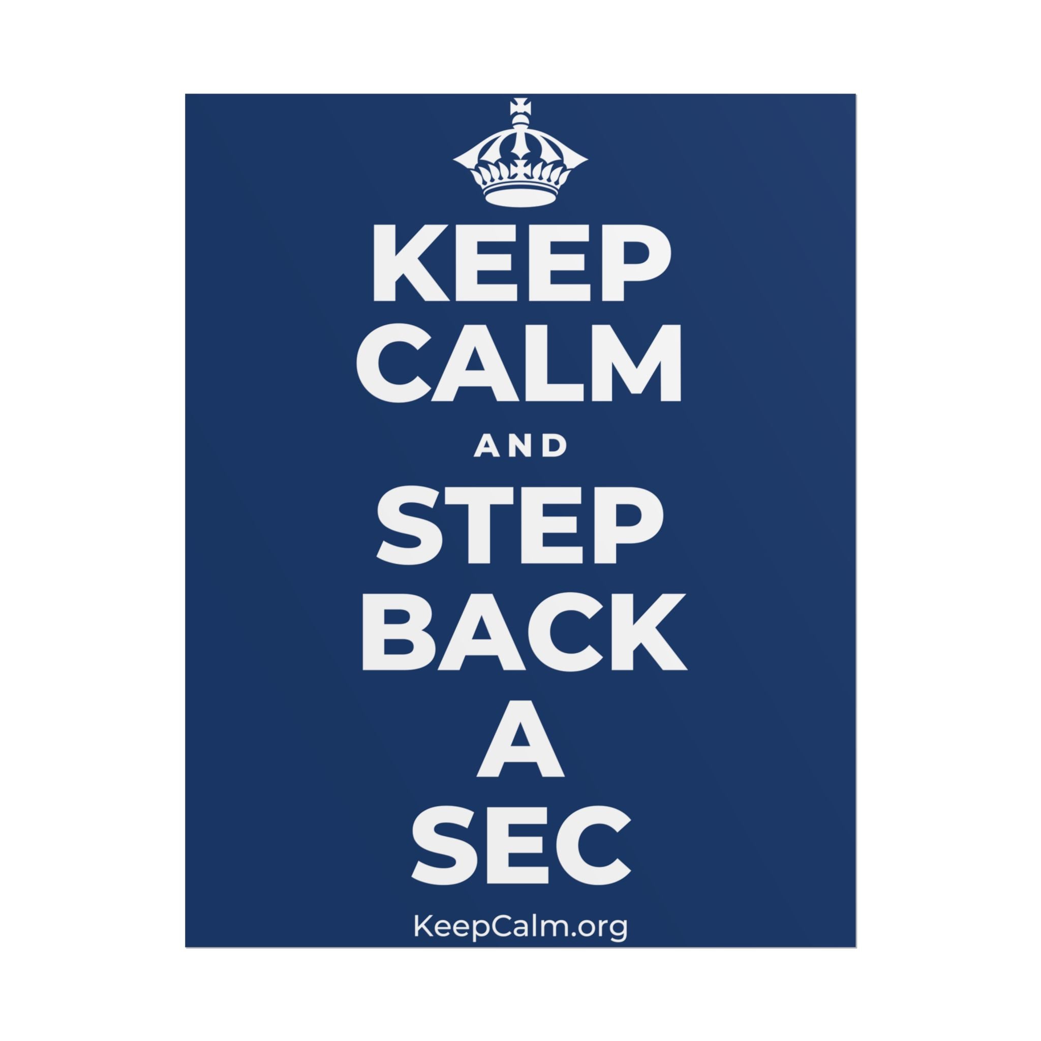 KEEP CALM AND STEP BACK A SEC Poster