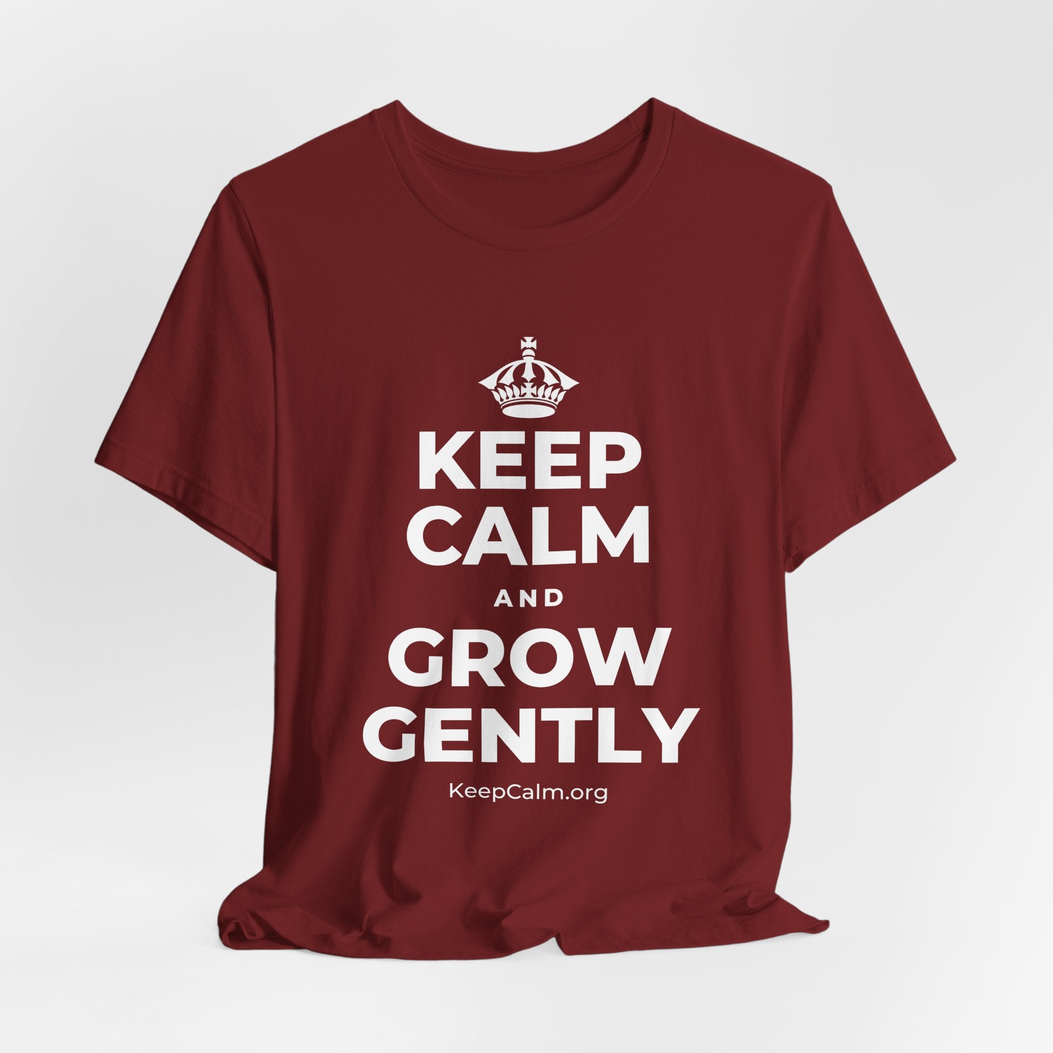 KEEP CALM AND GROW GENTLY T-Shirt (Baby Blue–Silver)
