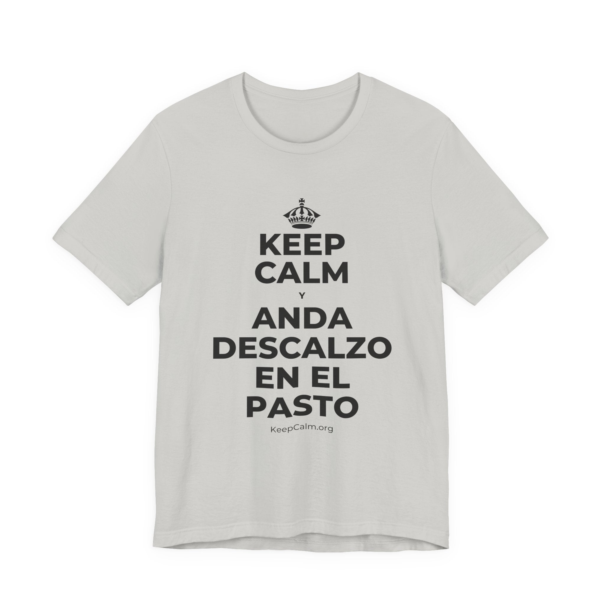 KEEP CALM Y ANDA DESCALZO EN EL PASTO T-Shirt (Baby Blue–Silver)