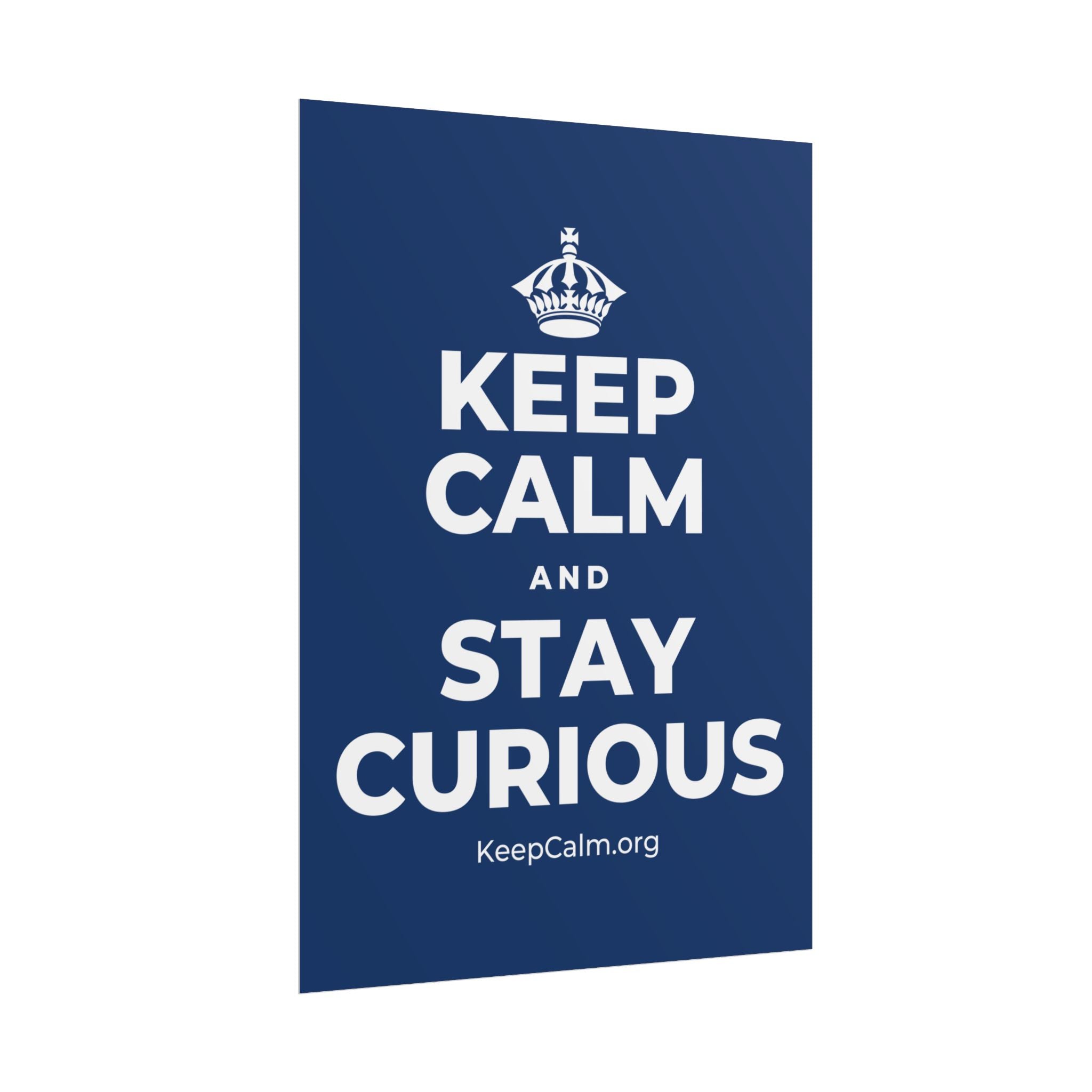 KEEP CALM AND STAY CURIOUS Poster