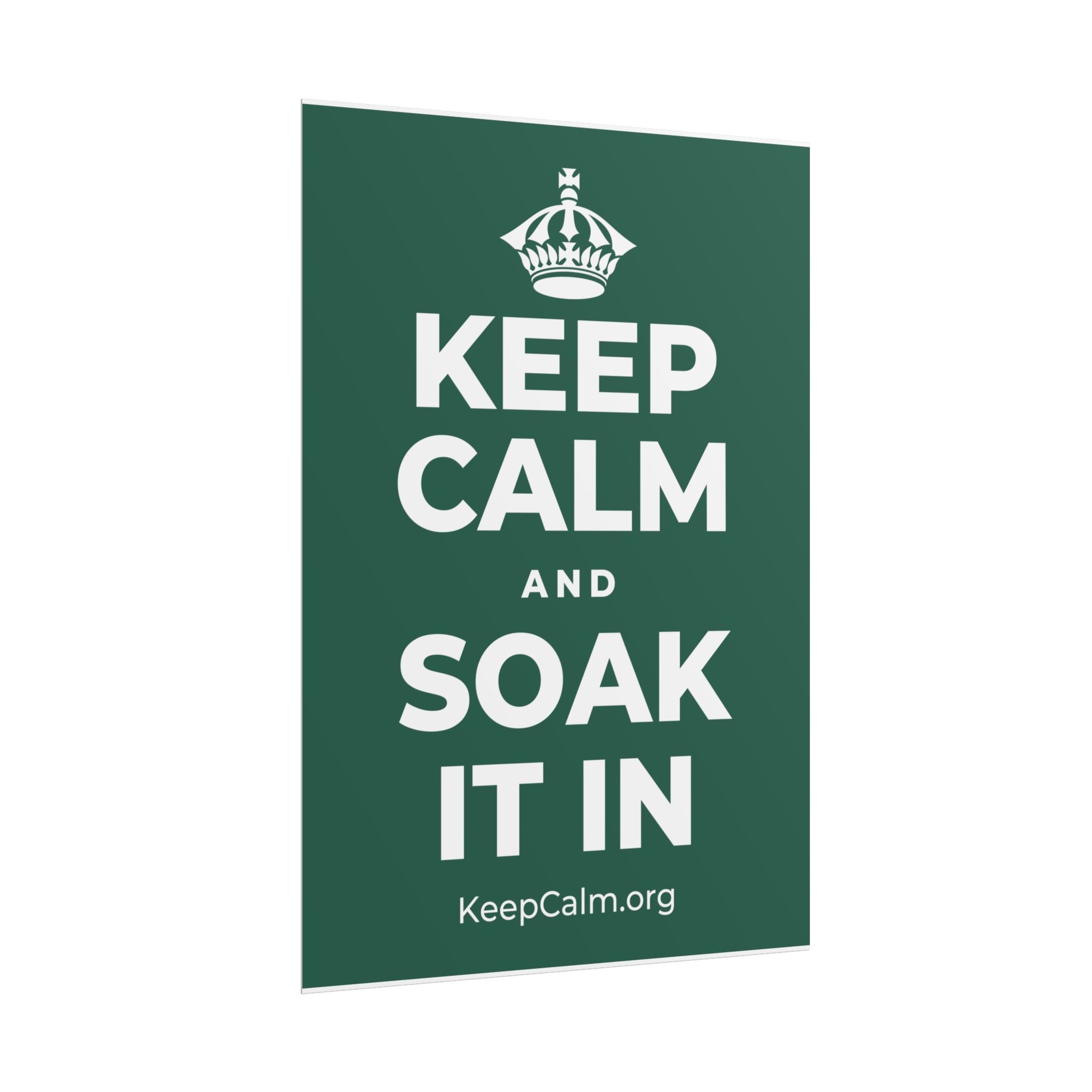 KEEP CALM AND SOAK IT IN Poster