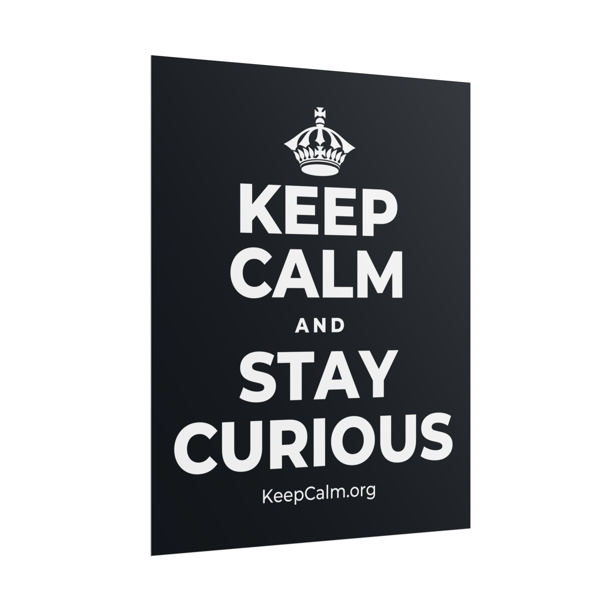 KEEP CALM AND STAY CURIOUS Poster (Dark)