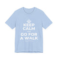 KEEP CALM AND GO FOR A WALK T-Shirt (Baby Blue–Silver)