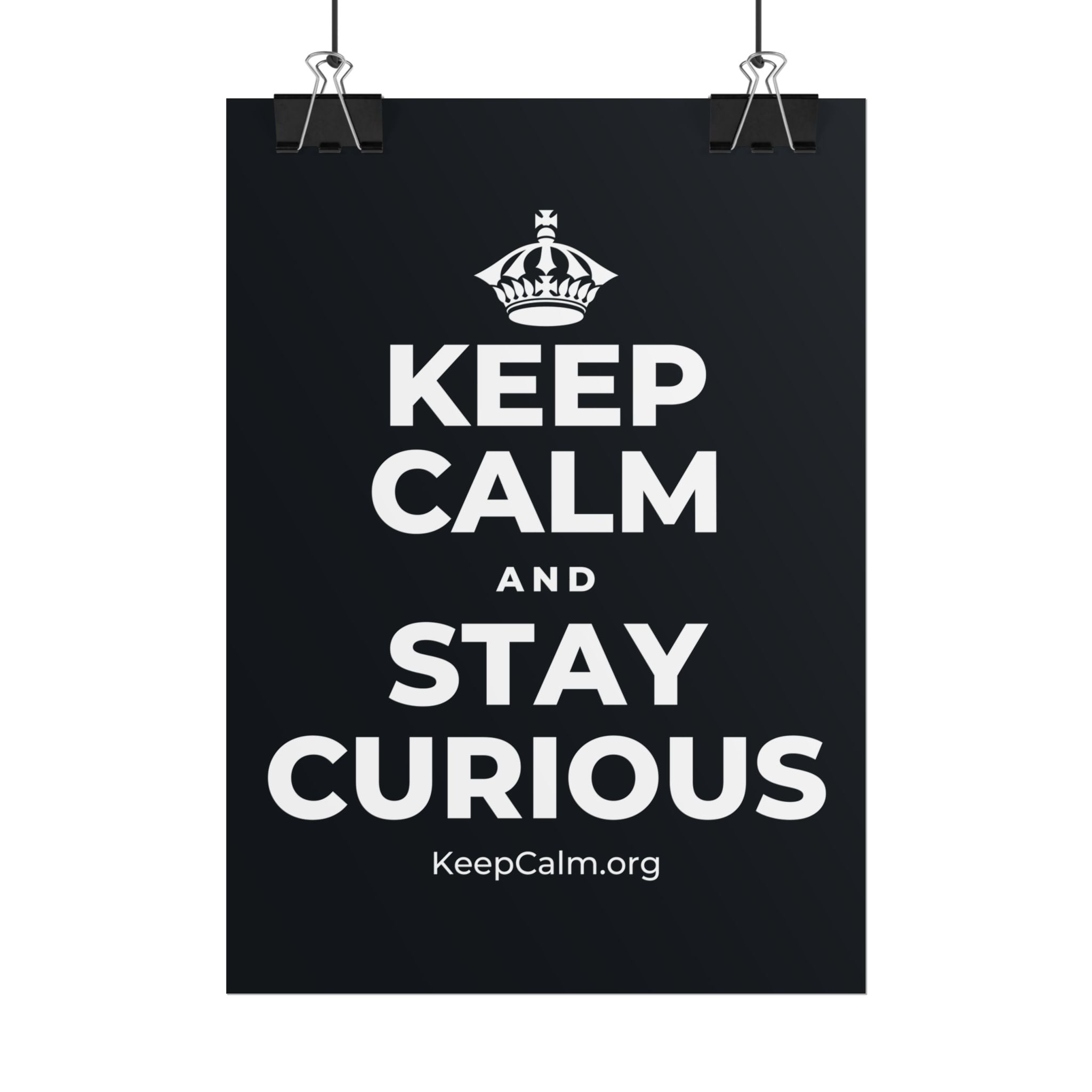 KEEP CALM AND STAY CURIOUS Poster (Dark)