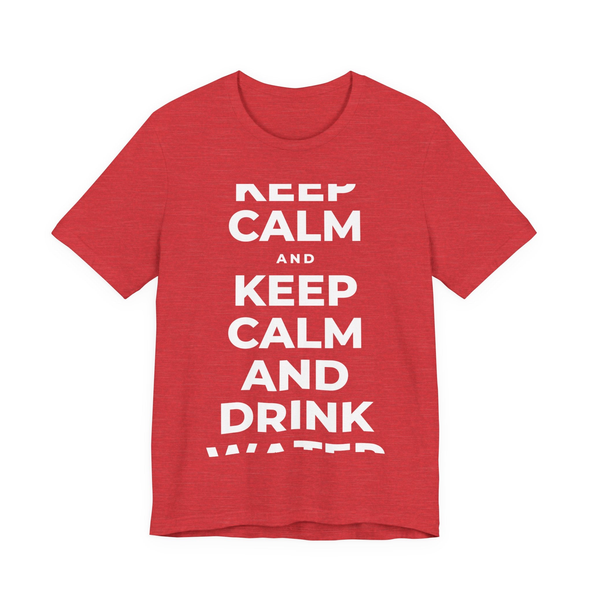KEEP CALM AND DRINK WATER T-Shirt (Baby Blue–Silver)