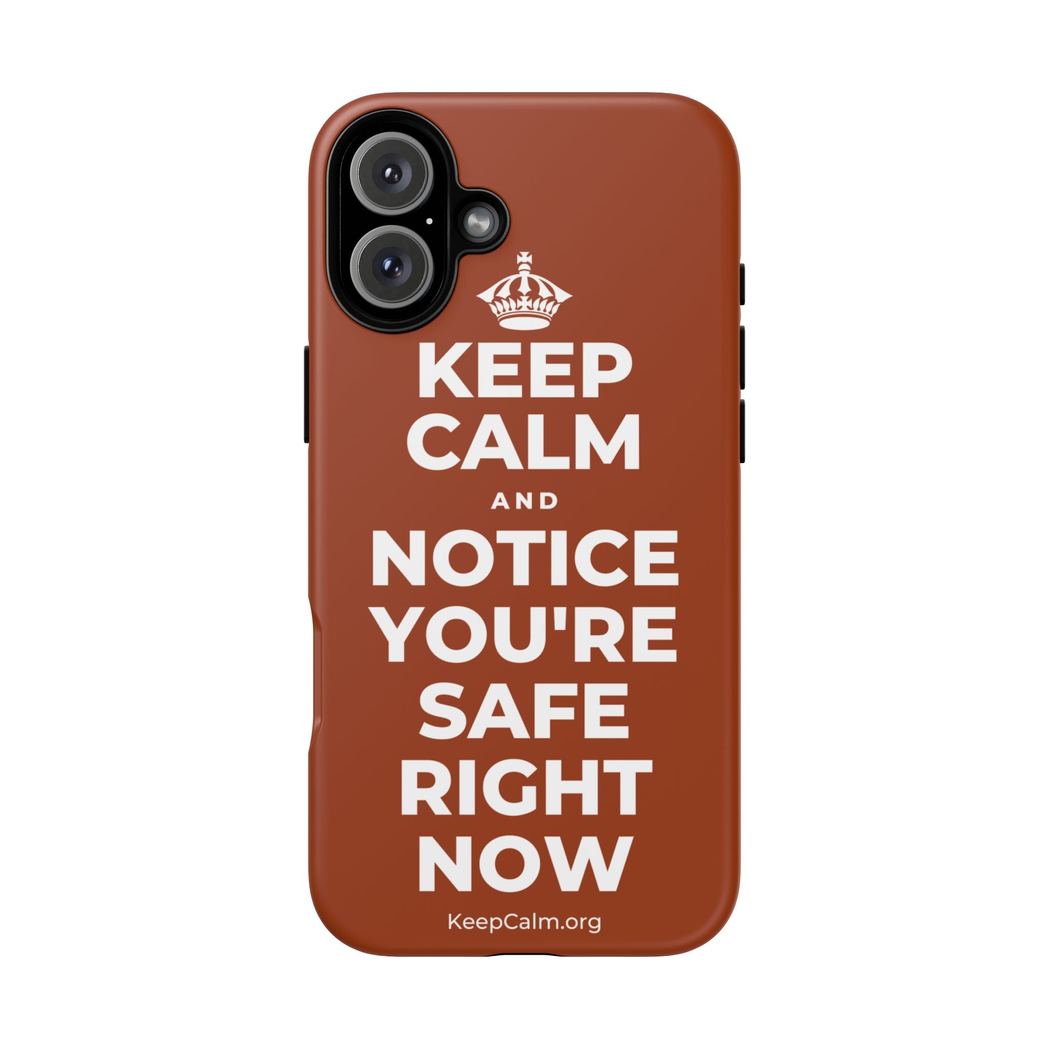 KEEP CALM AND NOTICE YOU'RE SAFE RIGHT NOW Phone Case