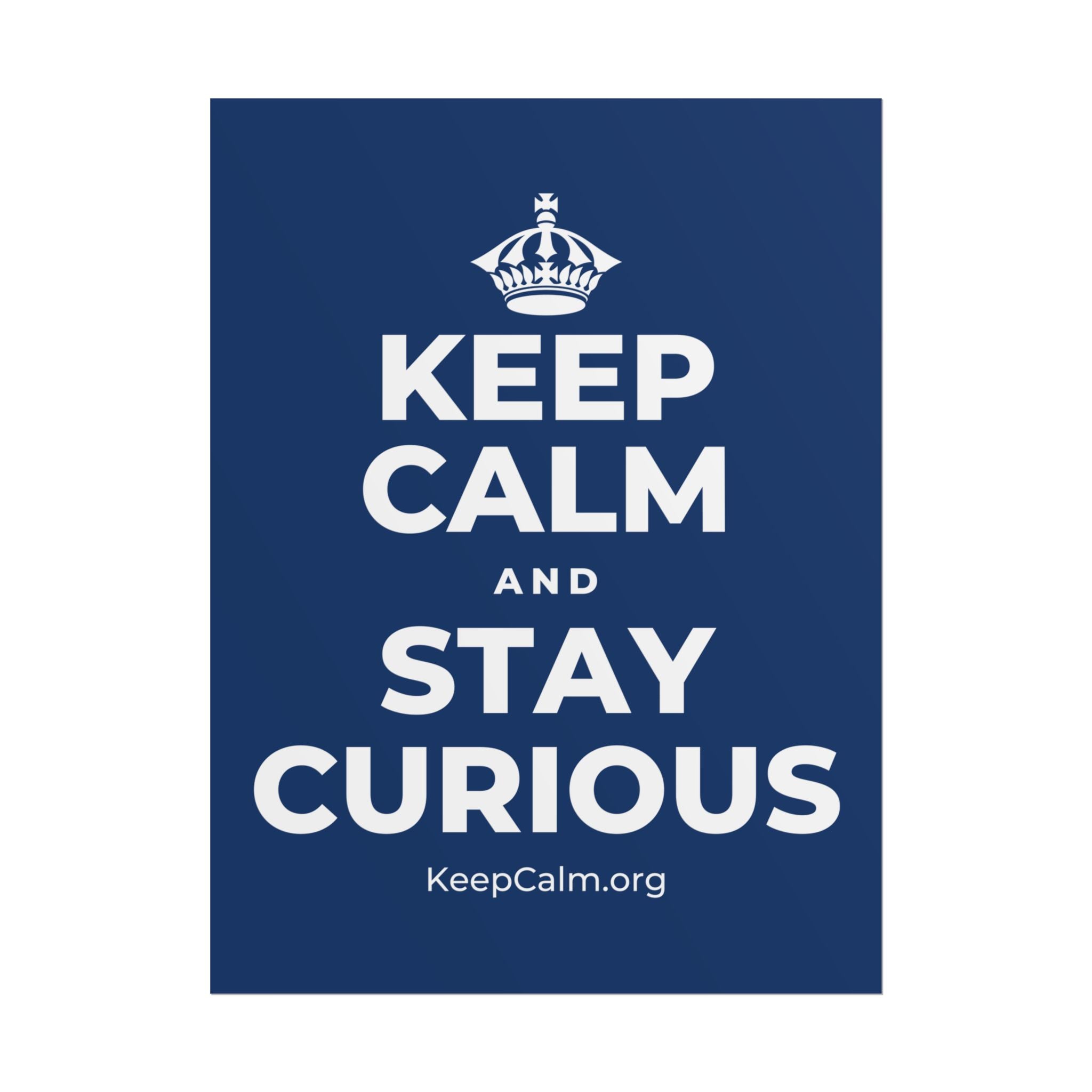 KEEP CALM AND STAY CURIOUS Poster