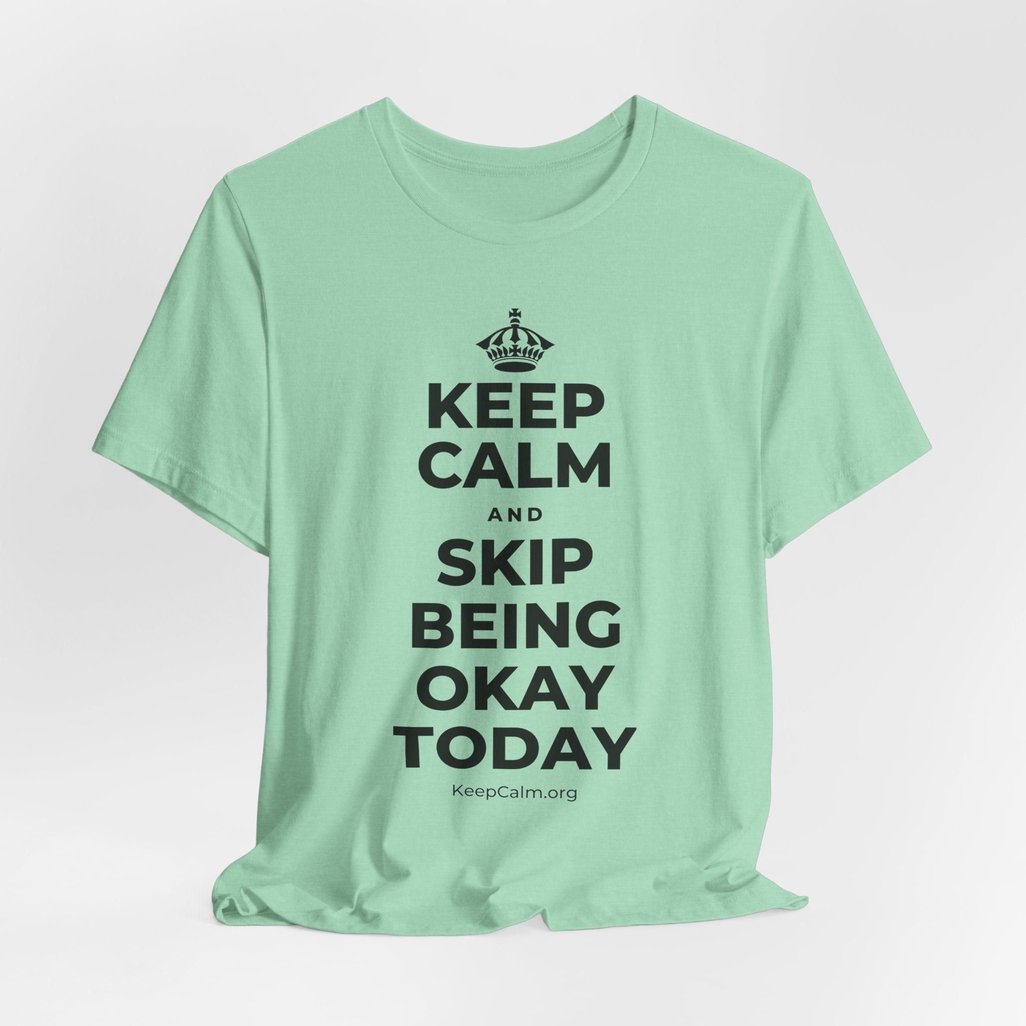 KEEP CALM AND SKIP BEING OKAY TODAY T-Shirt (Baby Blue–Silver)