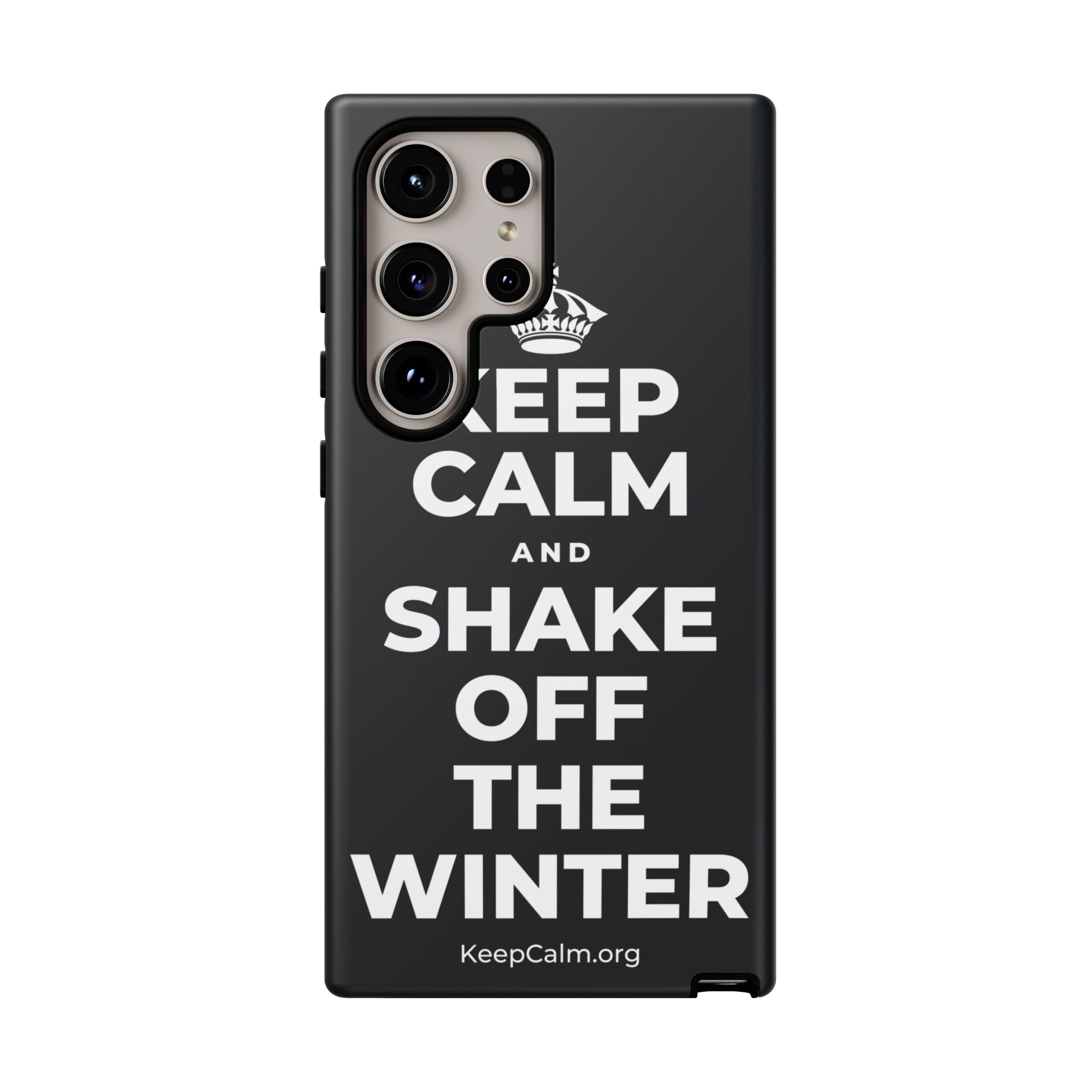 KEEP CALM AND SHAKE OFF THE WINTER Phone Case (Dark)