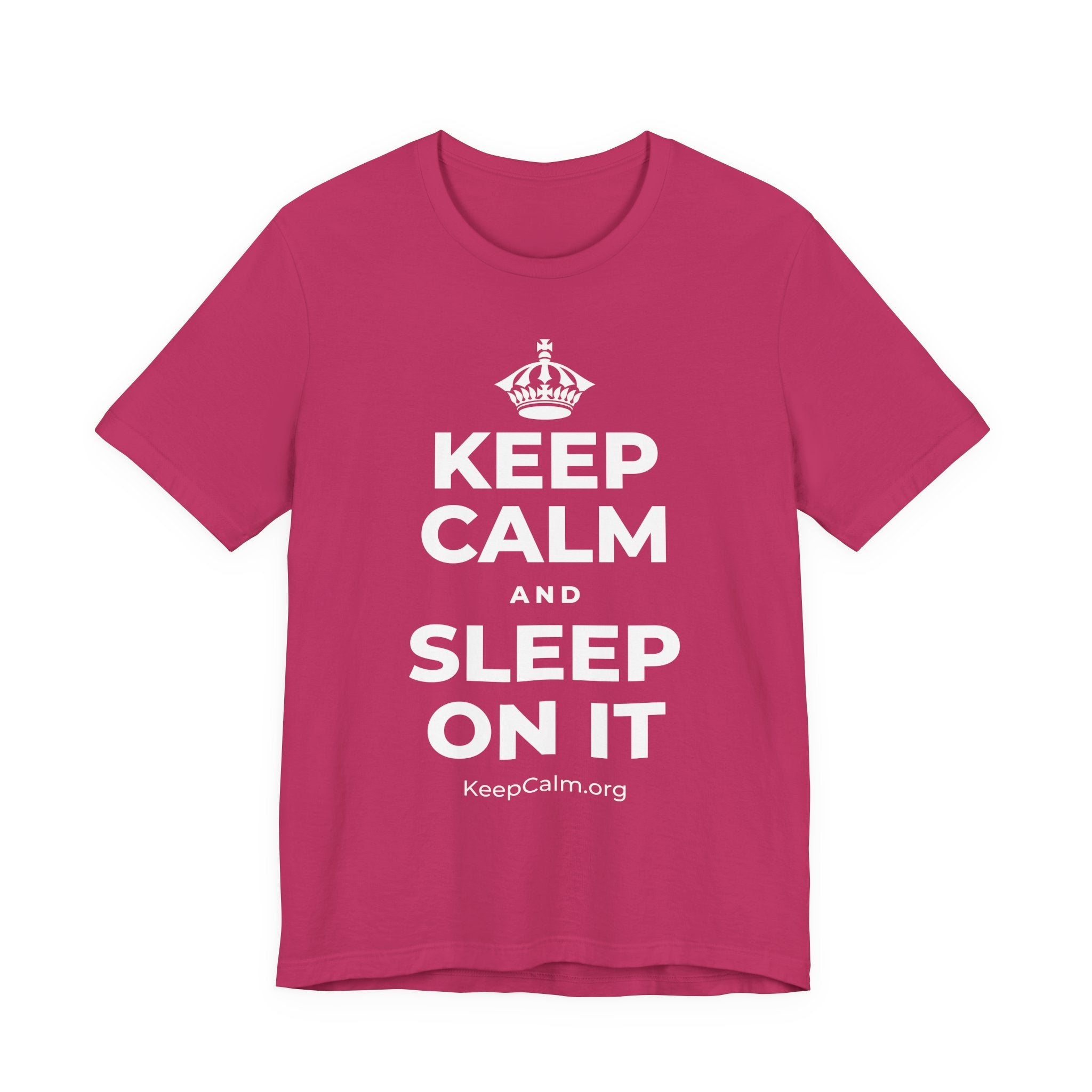 KEEP CALM AND SLEEP ON IT T-Shirt (Baby Blue–Silver)